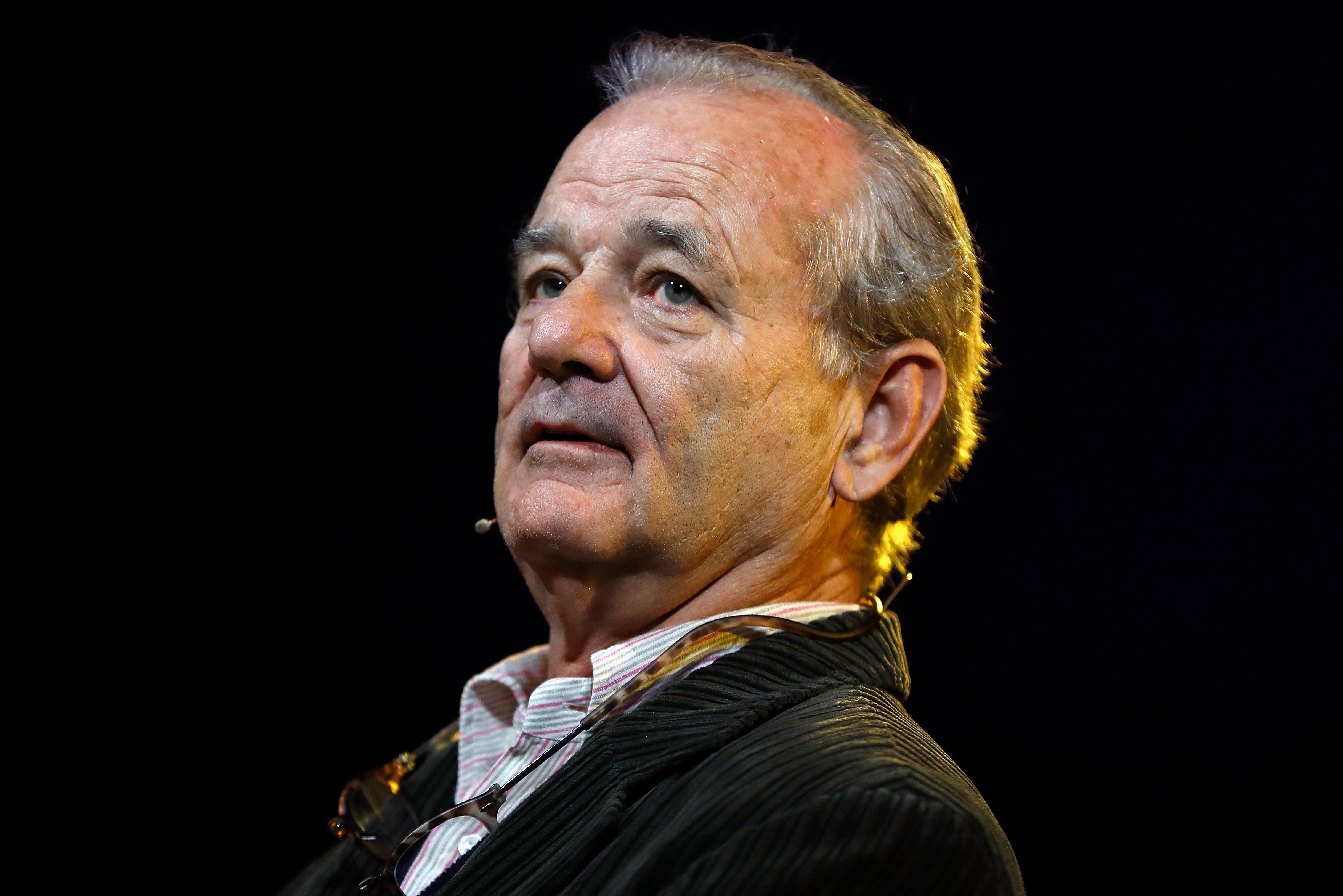 Bill Murray Wallpapers - Top Free Bill Murray Backgrounds - WallpaperAccess