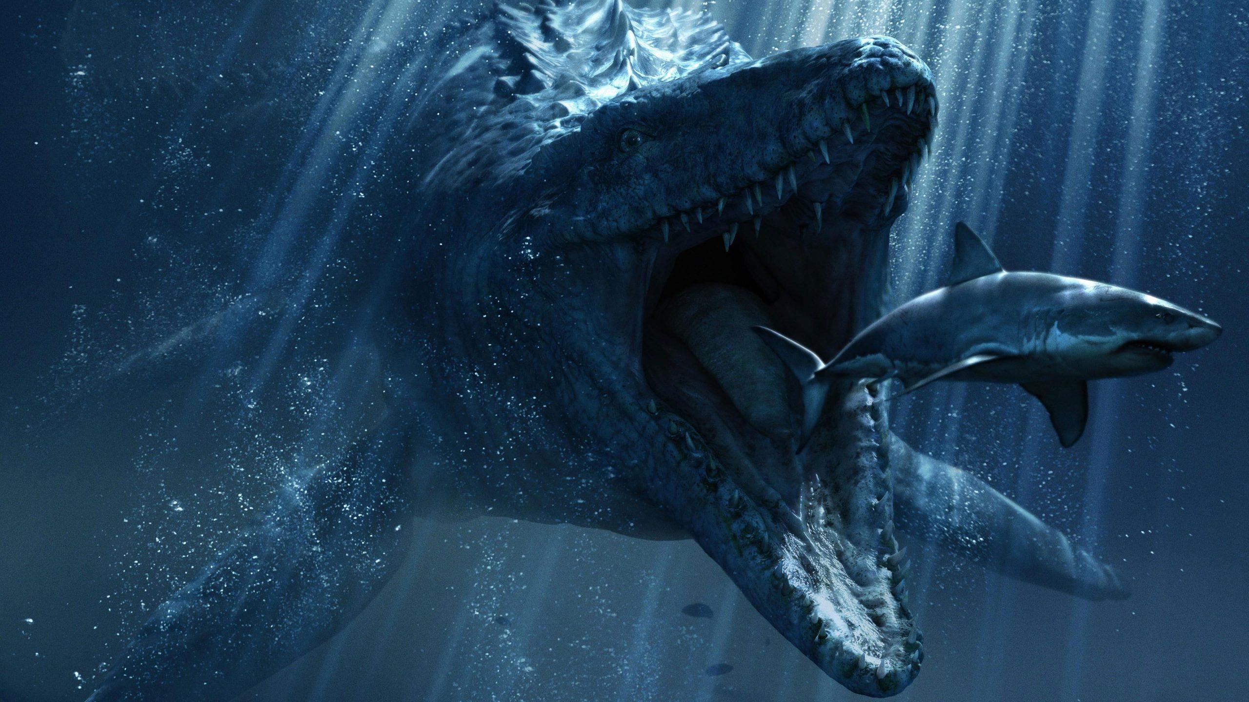 2560x1440 Ocean big shark wallpaper, blue, eat, food, animal, prehistoric animal • Wallpaper For You HD Wallpaper For Desktop & Mobile