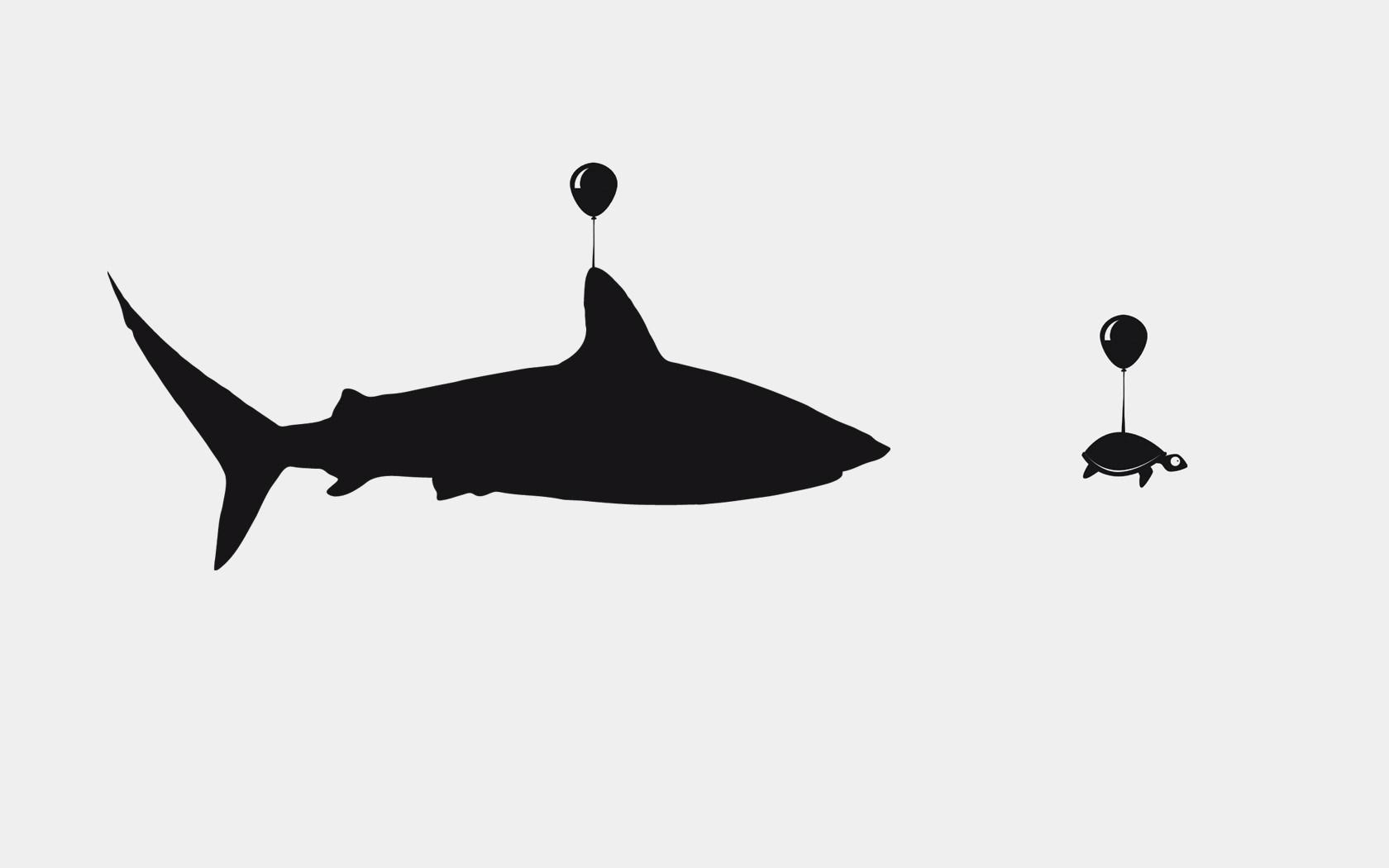 1680x1050 Shark Turtle Art Funny
