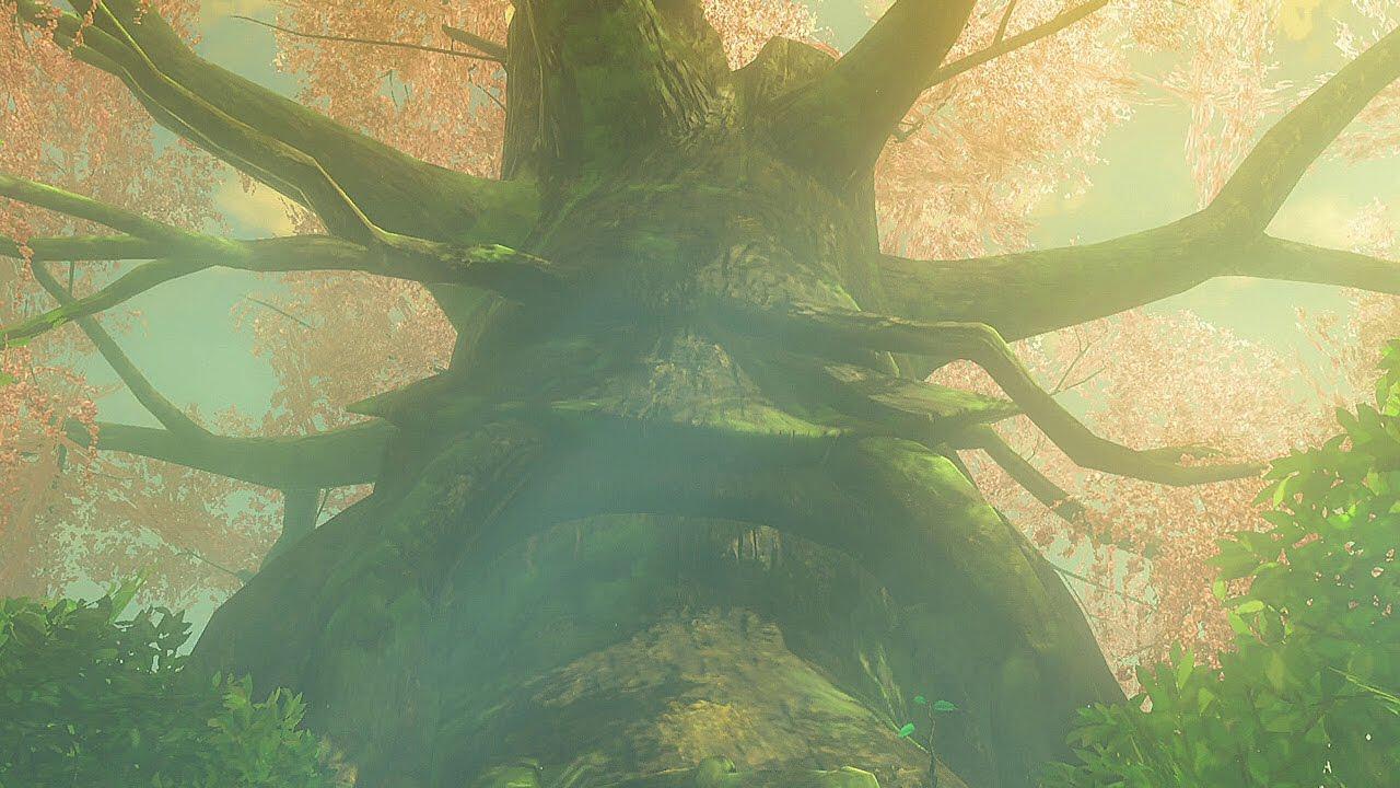 1280x720 Legend of Zelda: Breath of the Wild Deku Tree. Deku tree, Breath of the wild, Scenery
