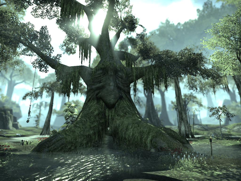 1024x768 Jonathan talking tree in #eso #elderscrollsonline Deku tree?Is that you? does this mean that the bosmer are grown up kokiri?