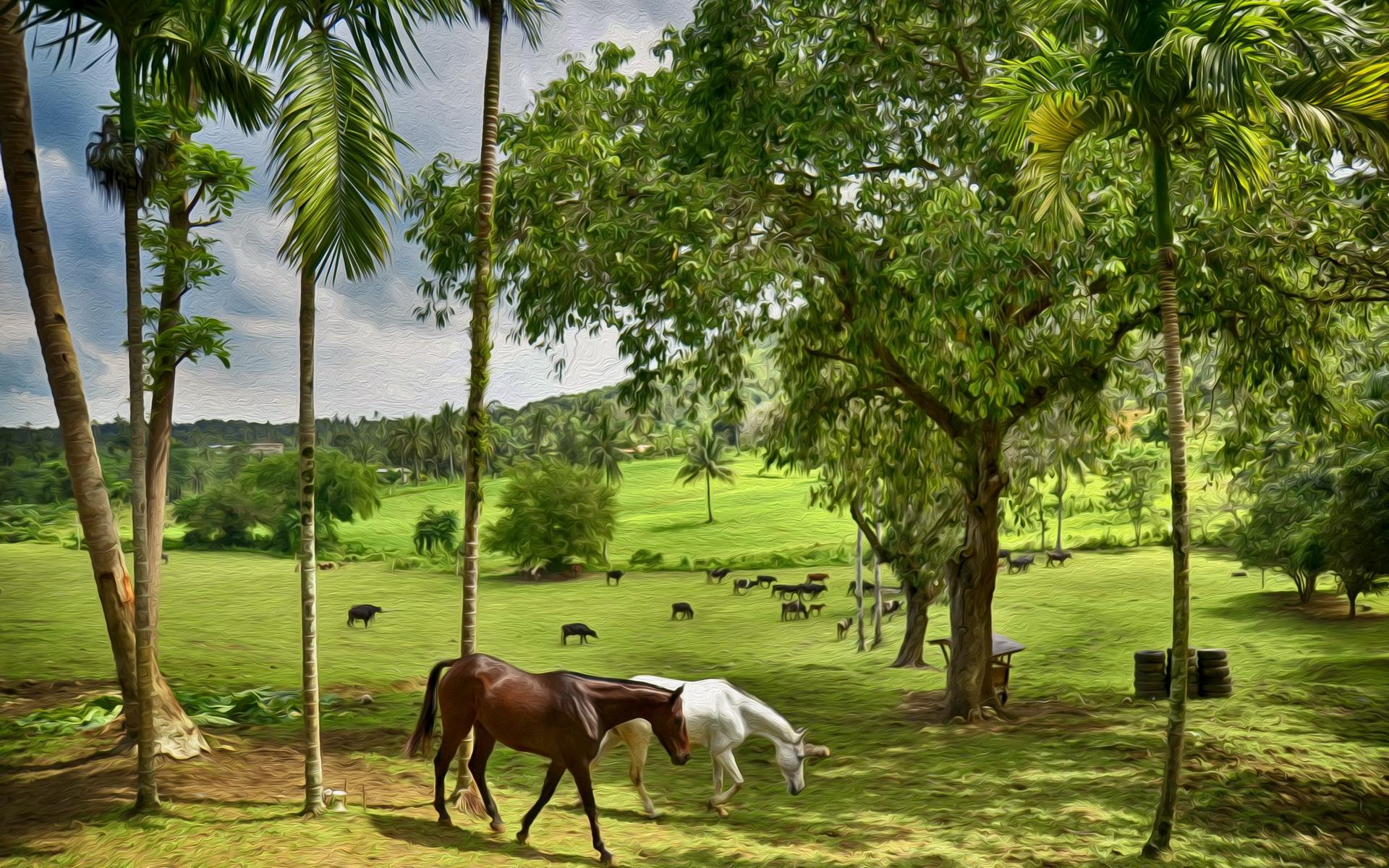 1920x1200 happy farm HD Wallpaper