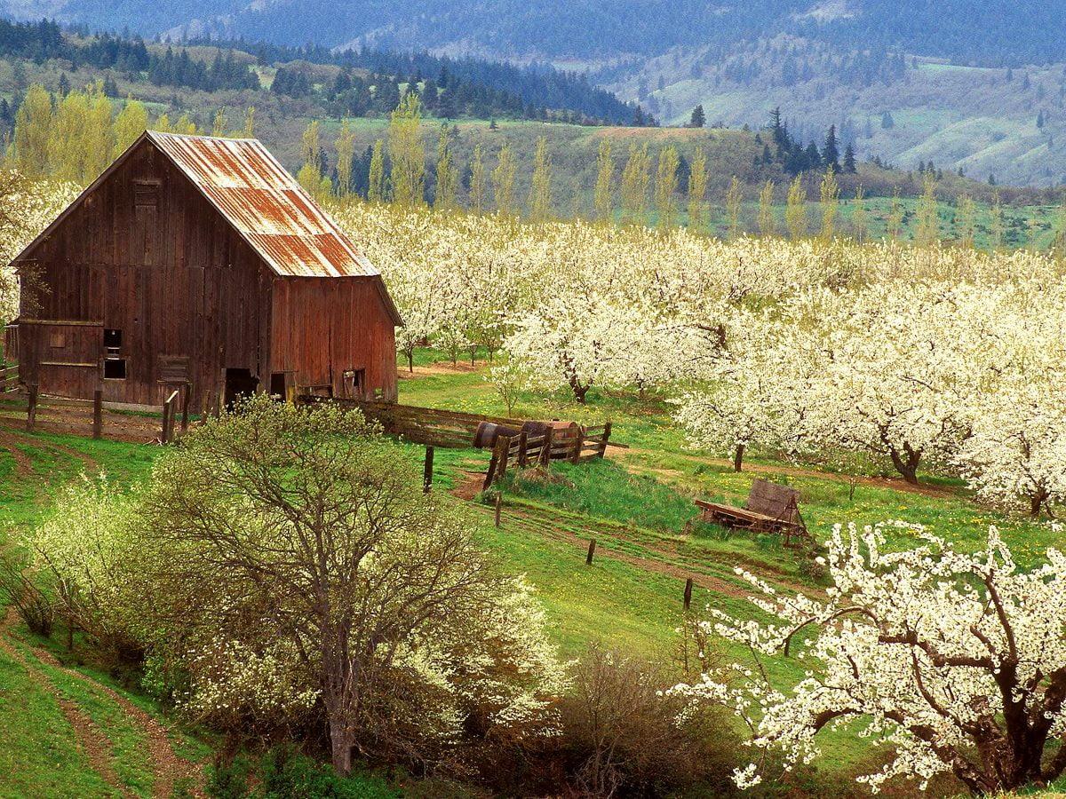 1200x900 Farm wallpaper HD. Download Free background