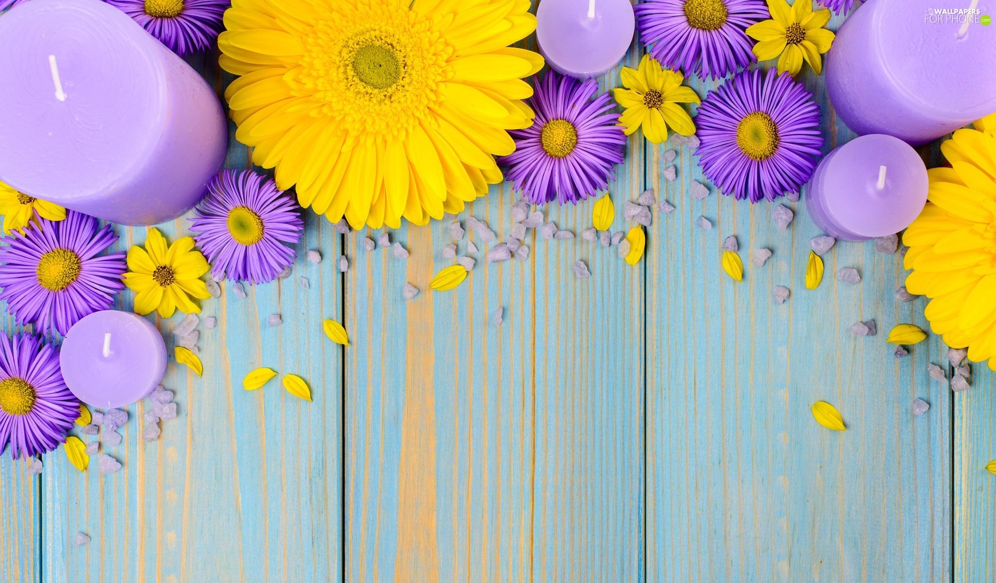 2048x1200 purple, Yellow, Candles, gerberas, Flowers, Astra, boarding phone wallpaper: 2048x1200
