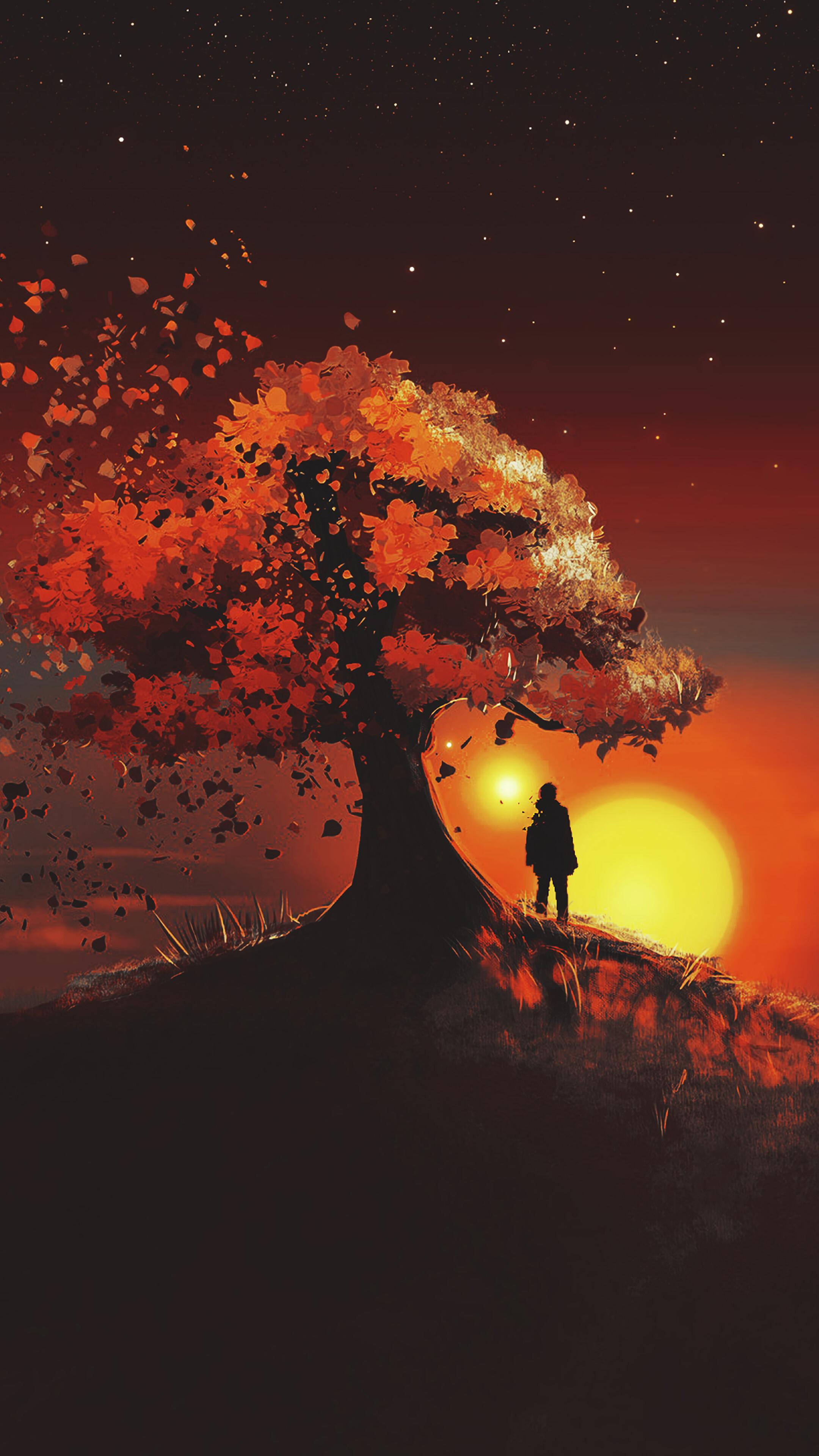 Sunset Trees Wallpapers - Top Free Sunset Trees Backgrounds ...