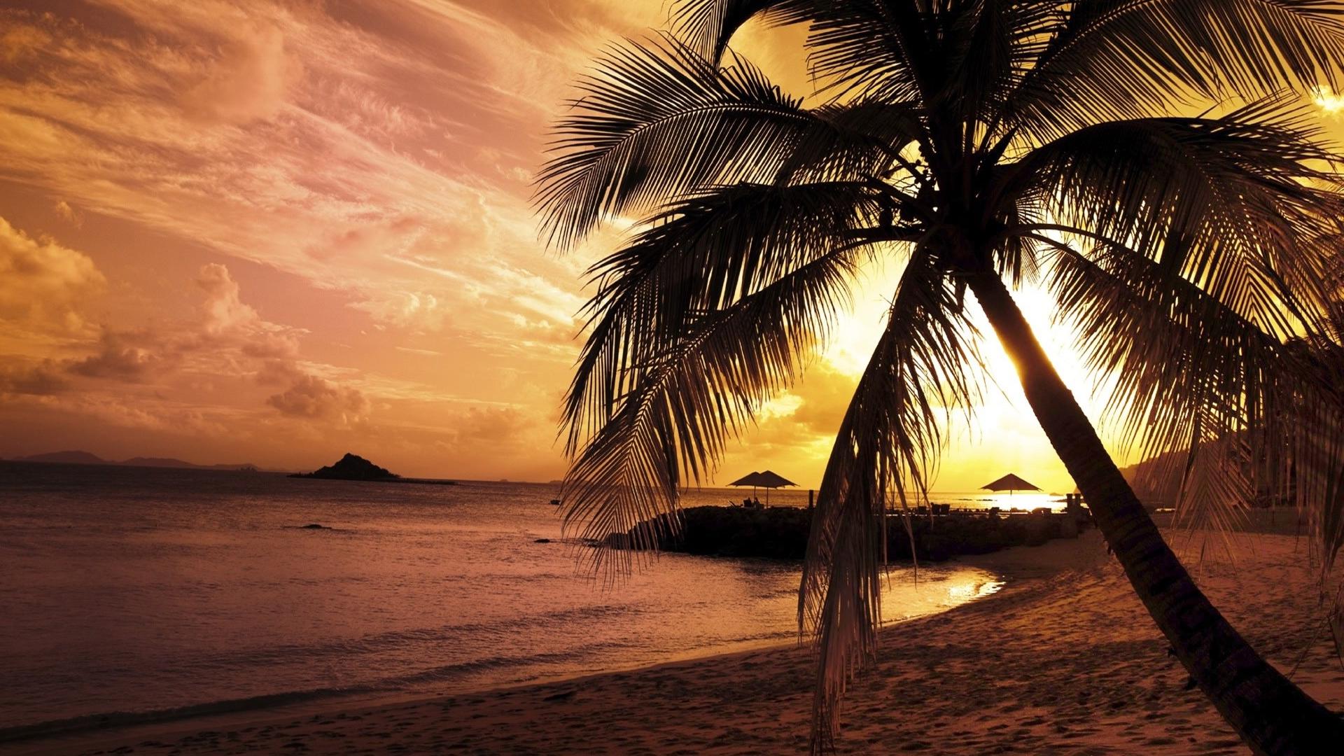 1920x1080 Free download palm trees sunset HD wallpaper palm trees sunset HD wallpaper [1920x1200] for your Desktop, Mobile & Tablet. Explore Sunset Palm Trees Wallpaper. Tropical Sunset Wallpaper Desktop, Beach