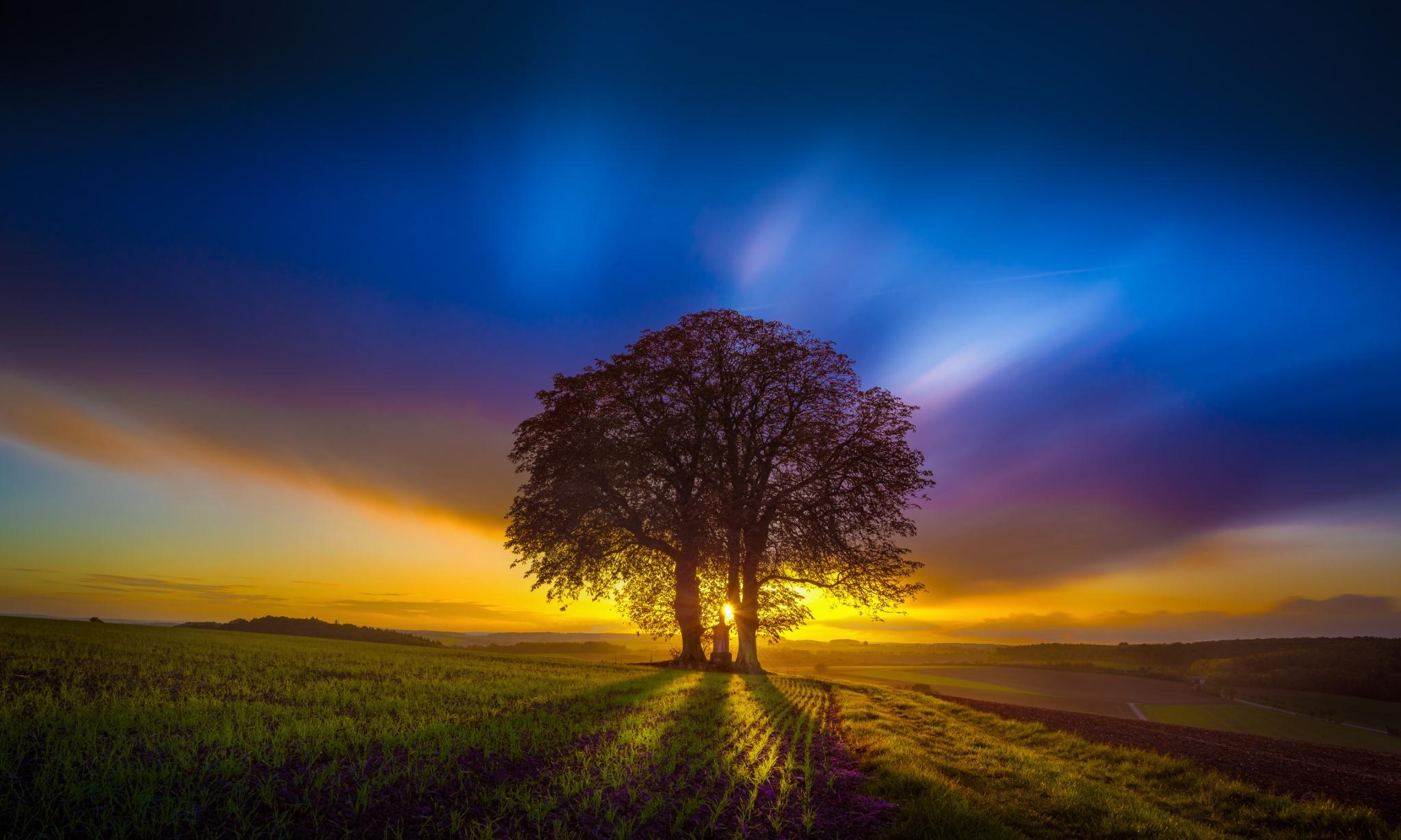 2048x1229 Free download Sunset Tree Desktop HD Wallpaper StylishHDWallpaper [2048x1229] for your Desktop, Mobile & Tablet. Explore Desktop Background Trees. Free Wallpaper For Computer, Wallpaper of Trees, Free Tree Wallpaper