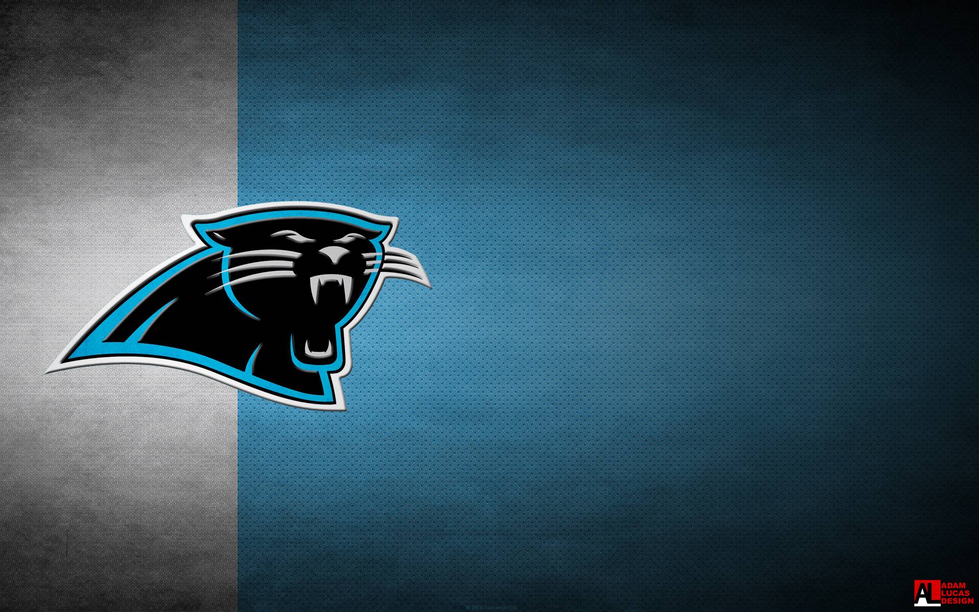 1920x1200 Carolina Panther