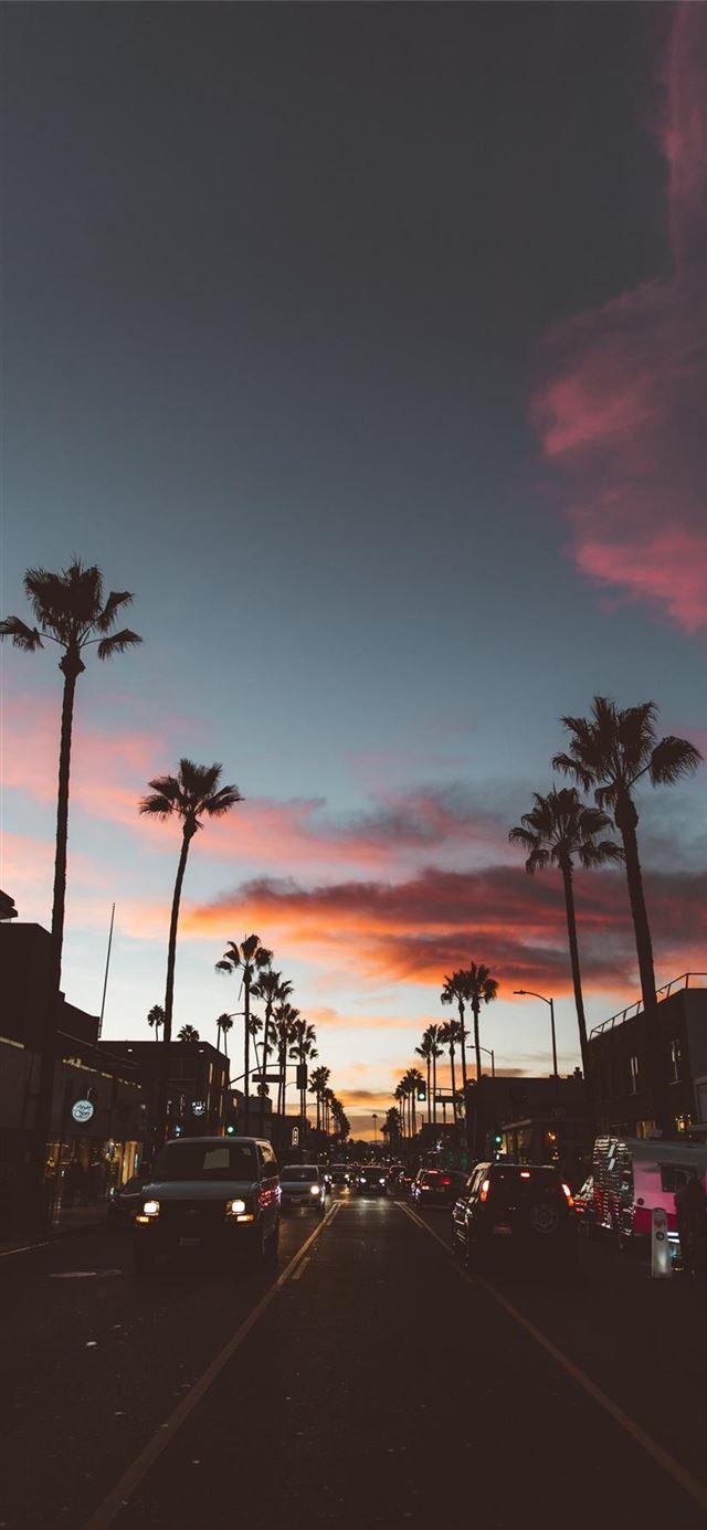 640x1385 Best Los angeles iPhone 11 HD Wallpaper