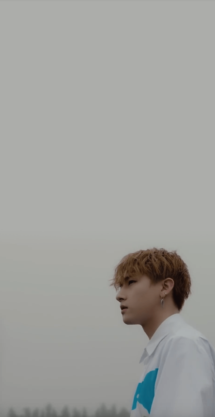 740x1434 Kpop Wallpaper