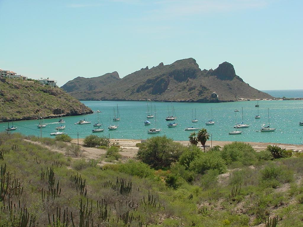 1024x768 Services in San Carlos, Sonora, Mexico