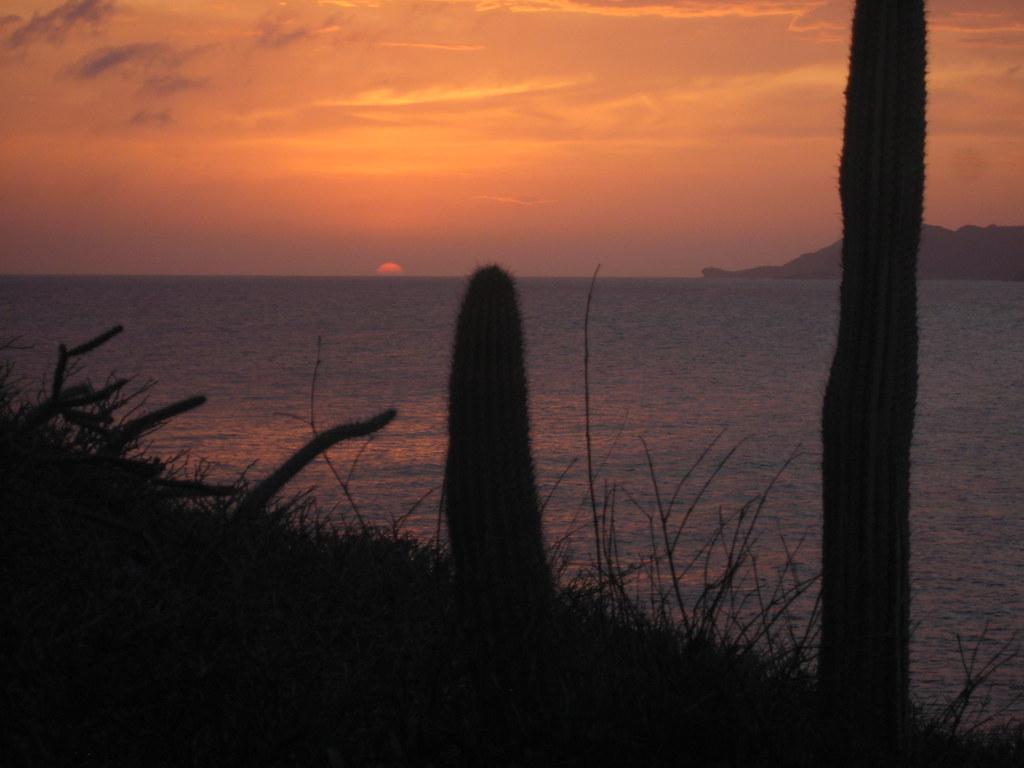 1024x768 Atardecer Cactiano / Sunset, San Carlos, Sonora, Mexico