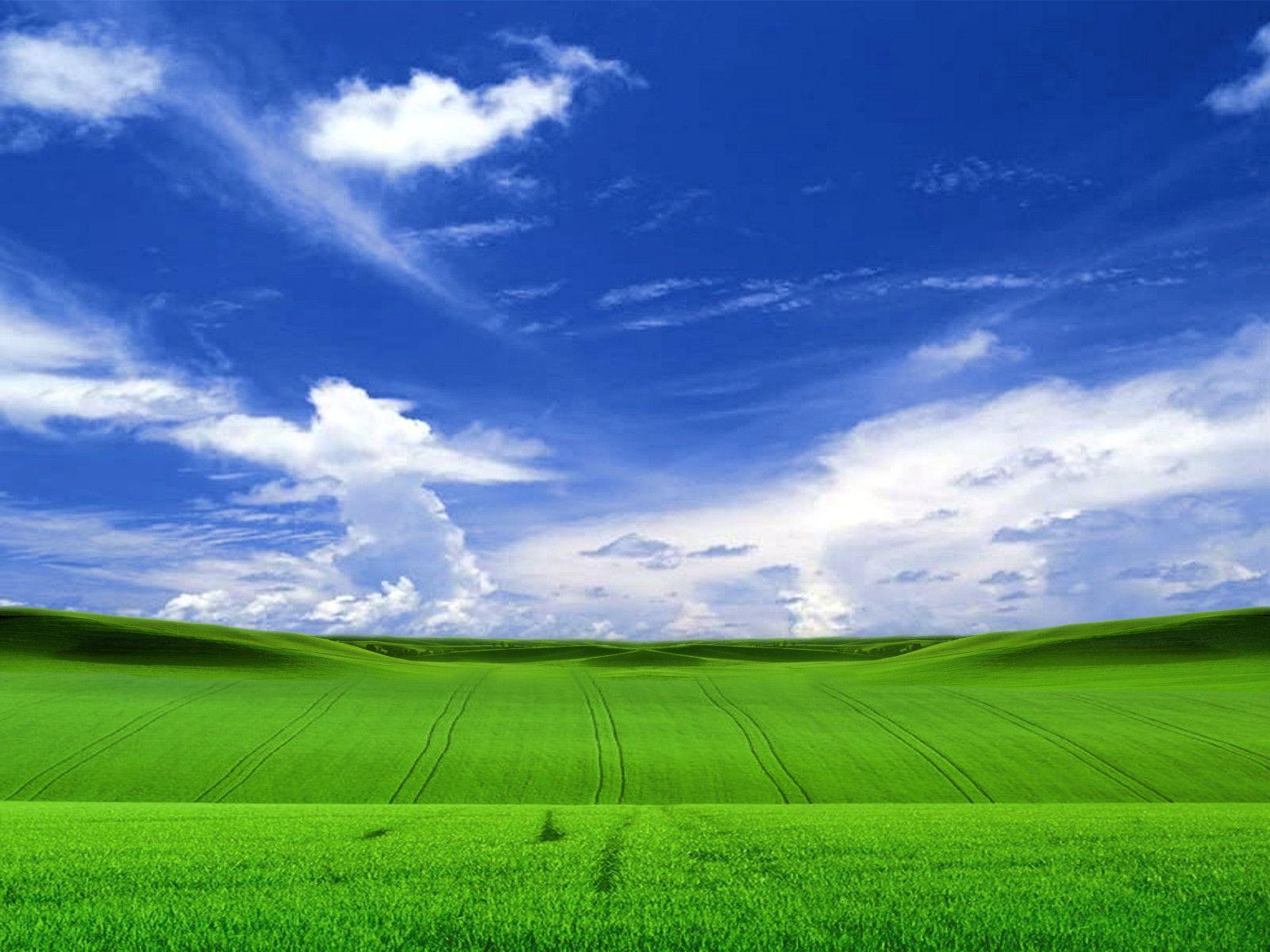 1600x1200 Windows XP Default Wallpaper