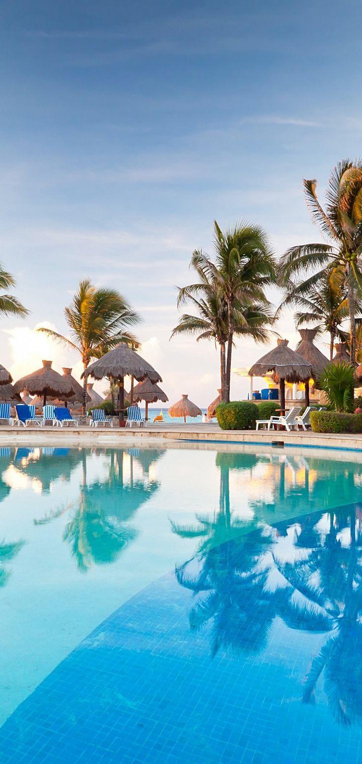 720x1520 Palm Trees Resort Nature Tropical Pool Wallpaper - [720x1520] download and share beautiful image in b. Holiday wallpaper, Tropical pool, iPhone wallpaper tropical