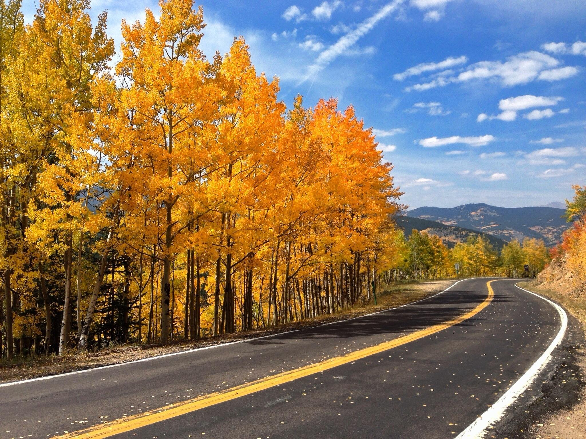 2048x1536 autumn, Road, Trees, Nature Wallpaper HD / Desktop and Mobile Background