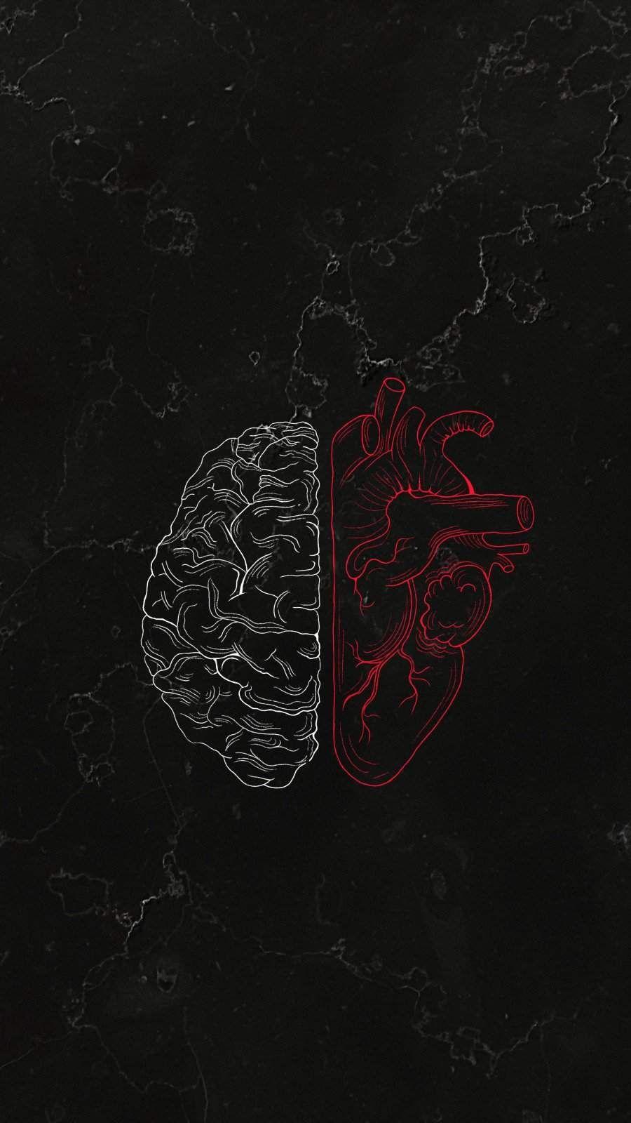 Brain iPhone Wallpapers - Top Free Brain iPhone Backgrounds ...