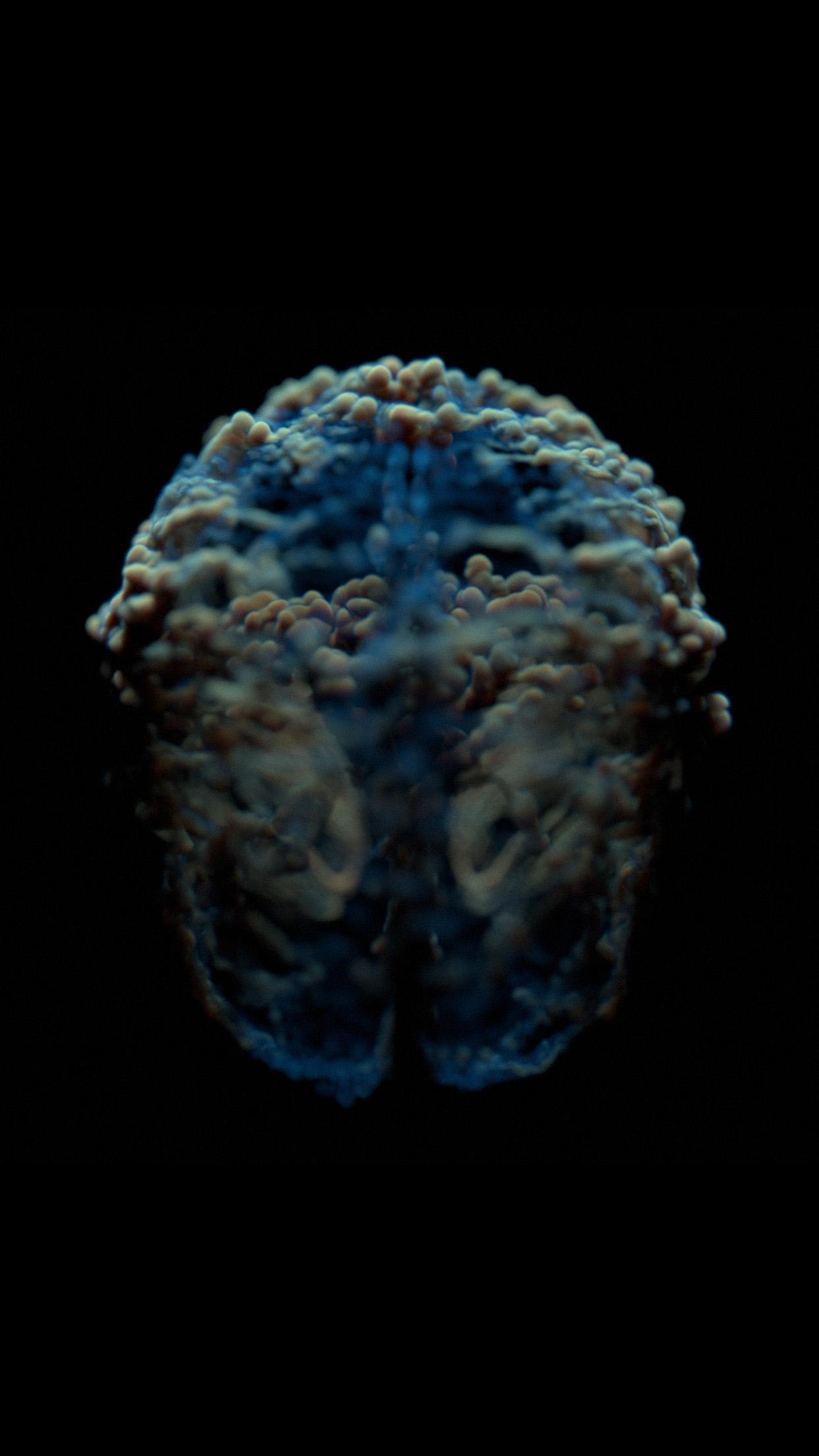 1242x2208 Art Dark Brain Bubble Wallpaper