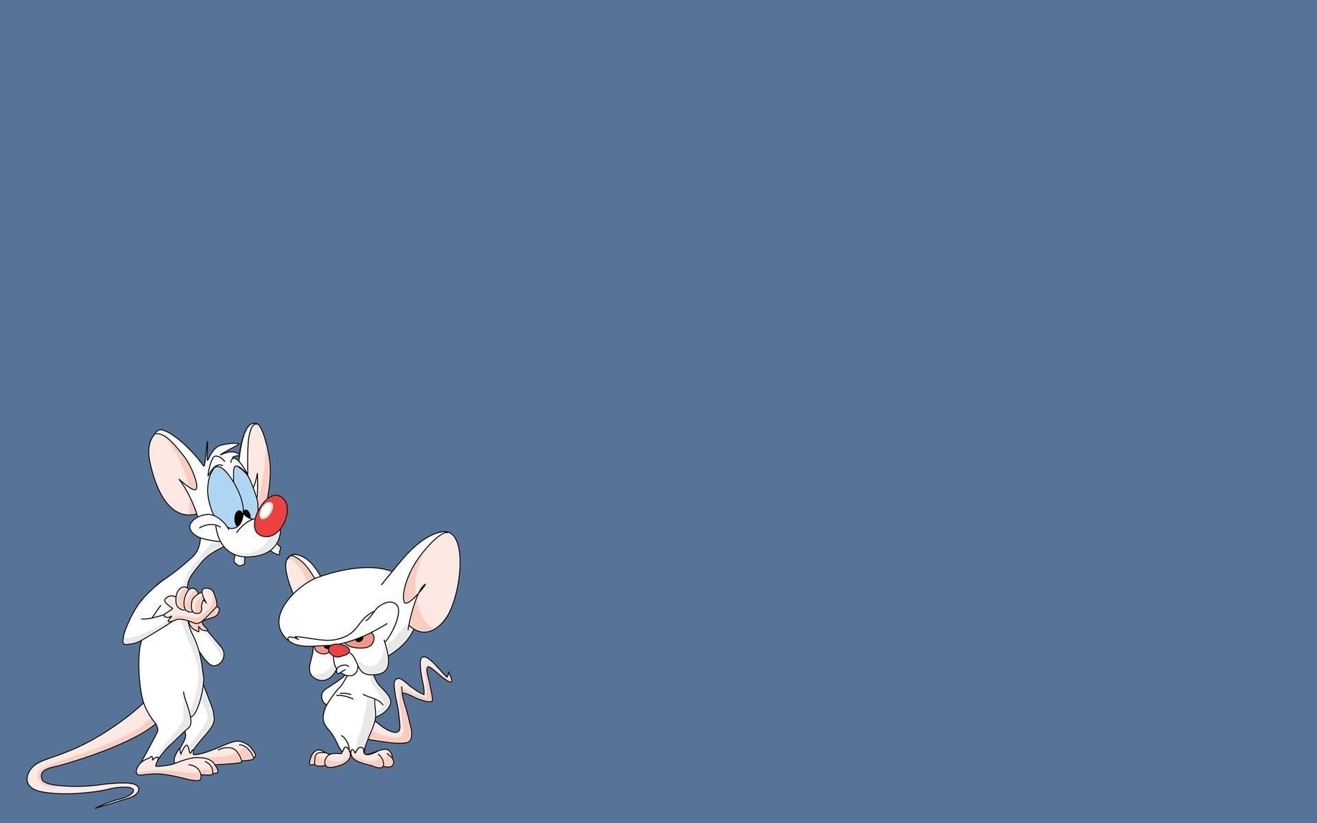 1920x1200 Brain Wallpaper HD