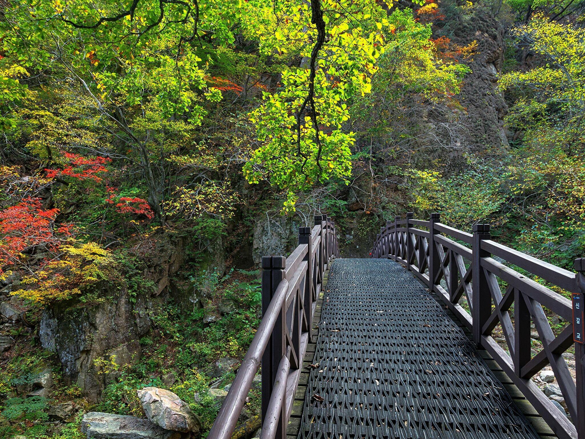 2048x1536 Korea Nature Wallpaper: HD, 4K, 5K for PC and Mobile. Download free image for iPhone, Android