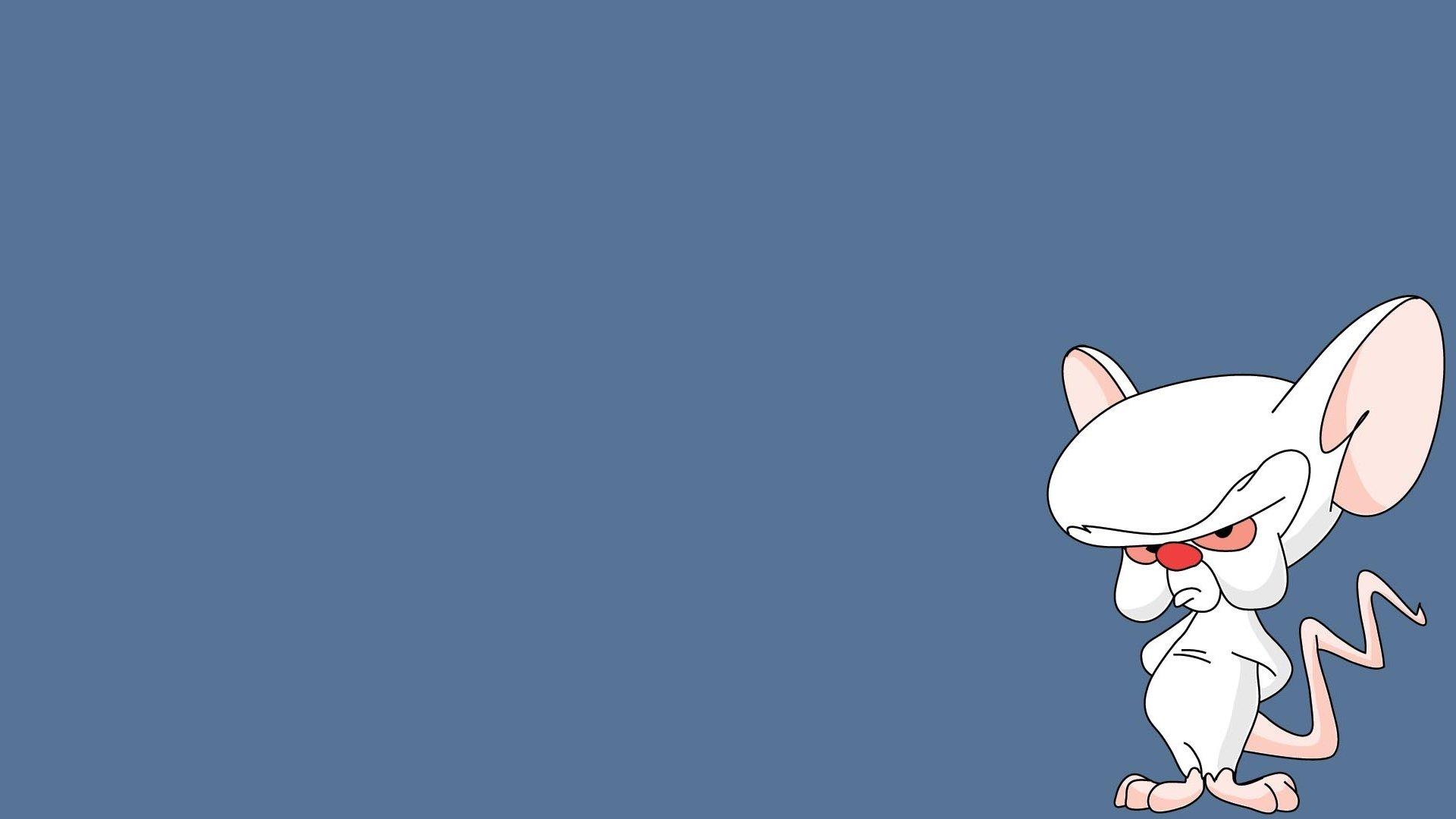 1920x1080 Pinky And The Brain HD Wallpaper