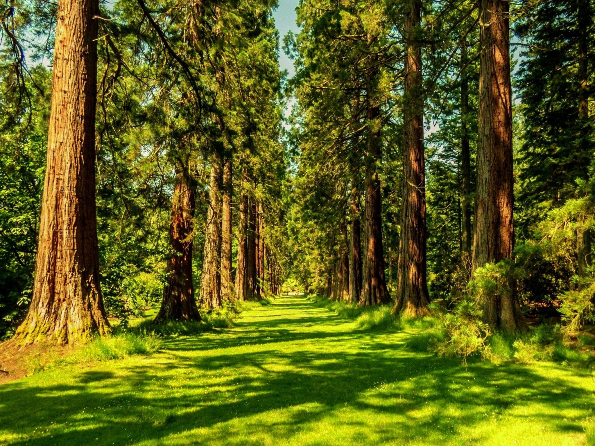 2048x1536 Summer Nature Wallpaper