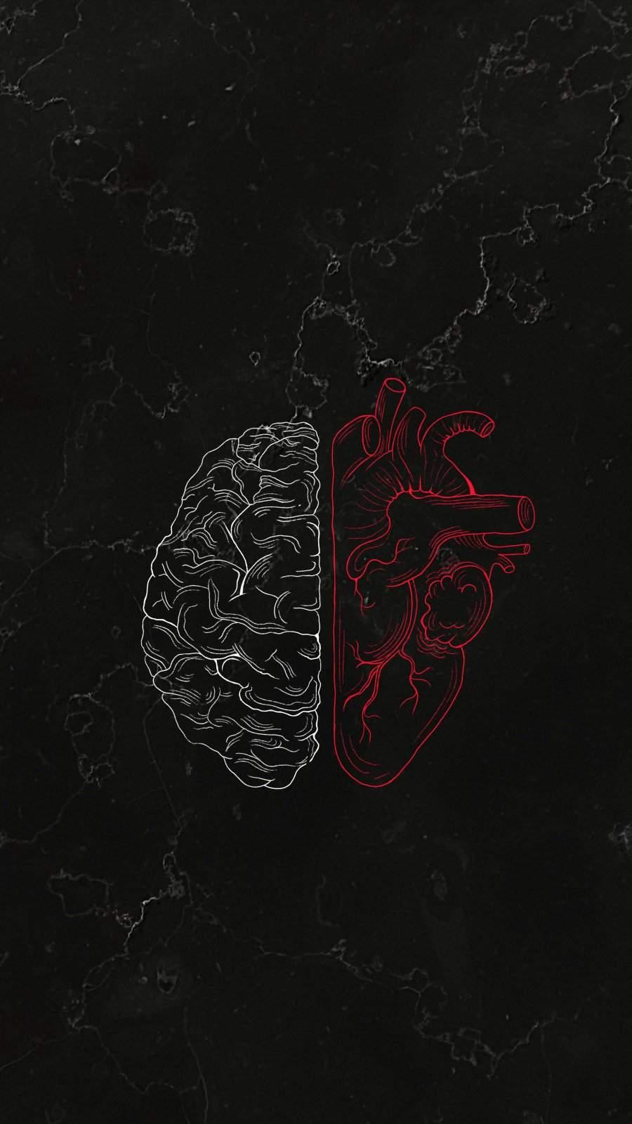 900x1600 Brain Vs Heart IPhone Wallpaper Wallpaper : iPhone Wallpaper