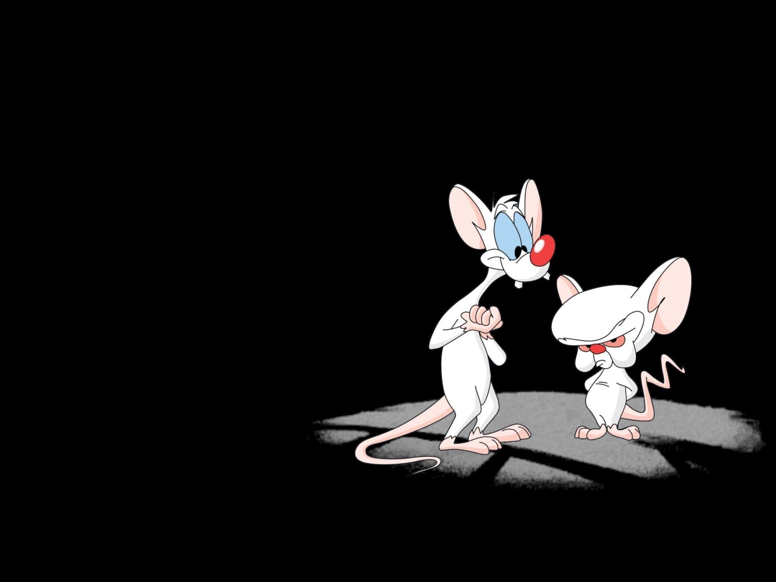 2560x1920 Brain Wallpaper HD