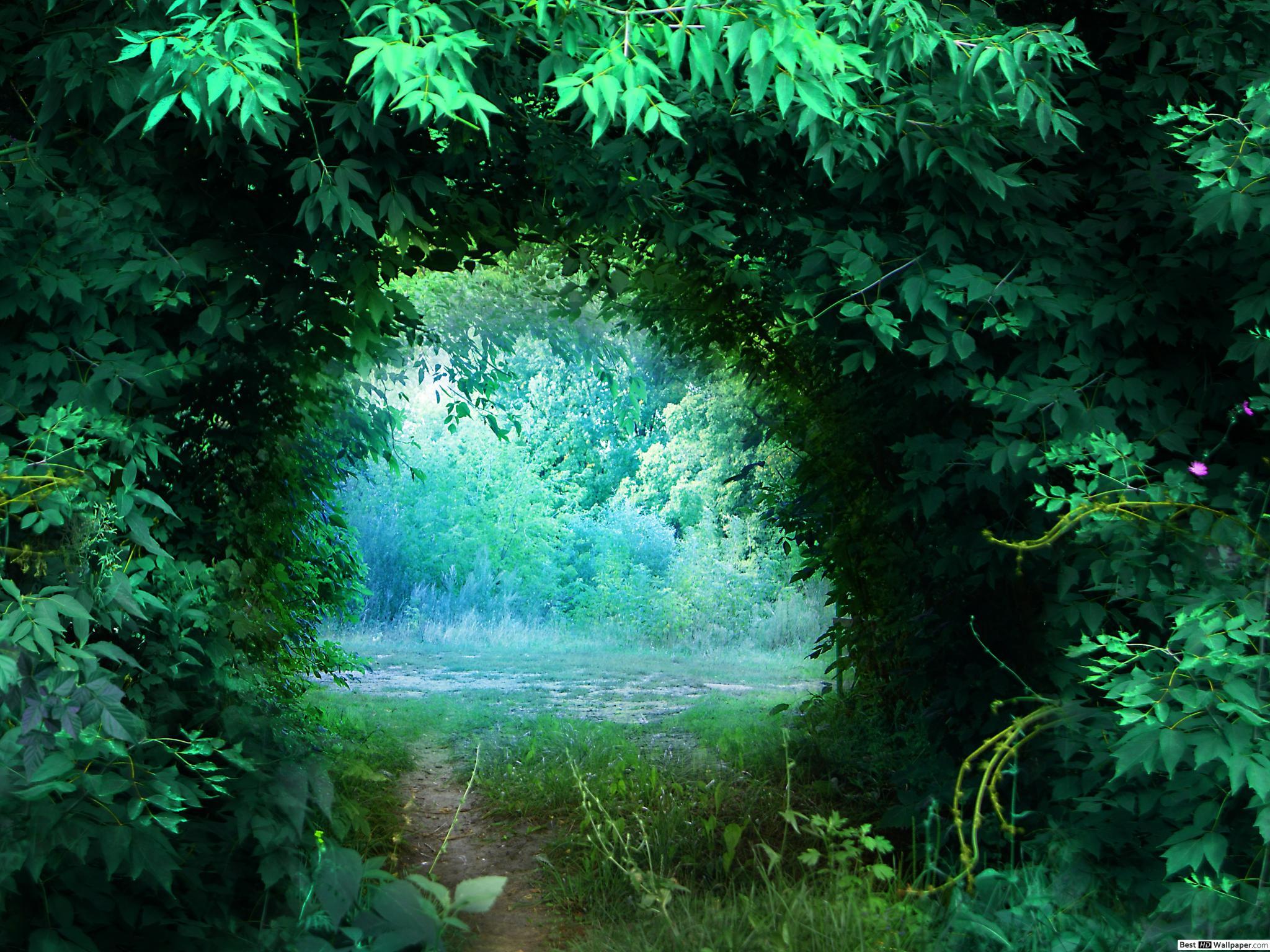 2048x1536 Photography Nature HD wallpaper download