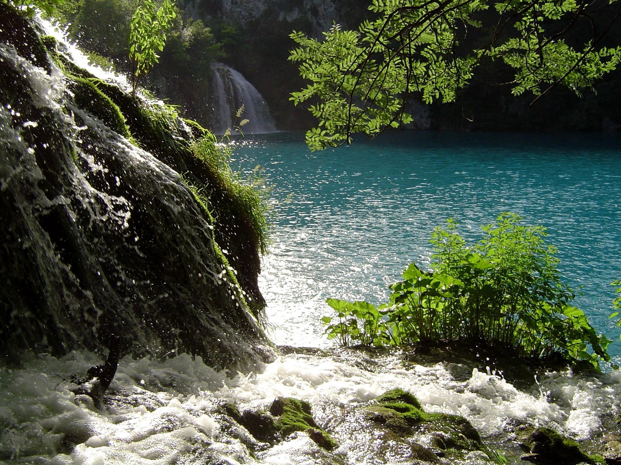 2048x1536 Nature Graphics