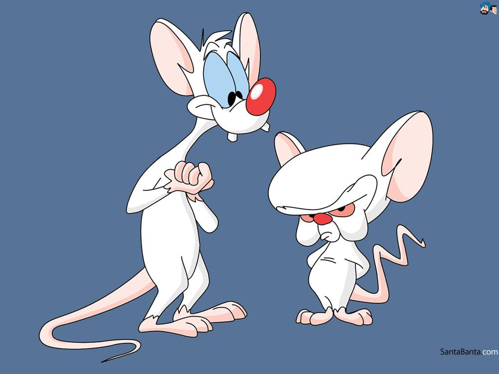 1024x768 Pinky and the Brain