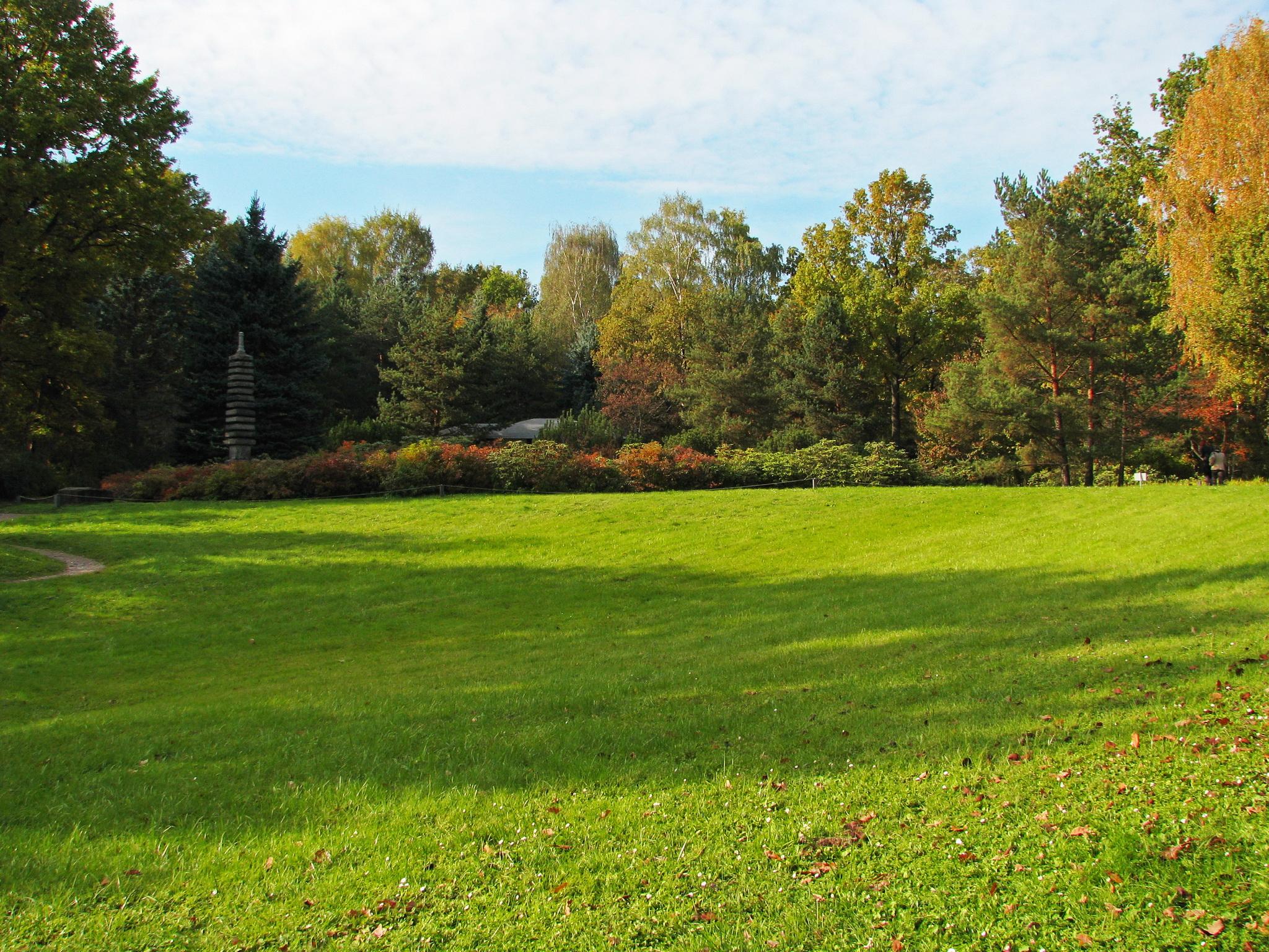 2048x1536 Photo Moscow Nature Gardens Grass 2048x1536