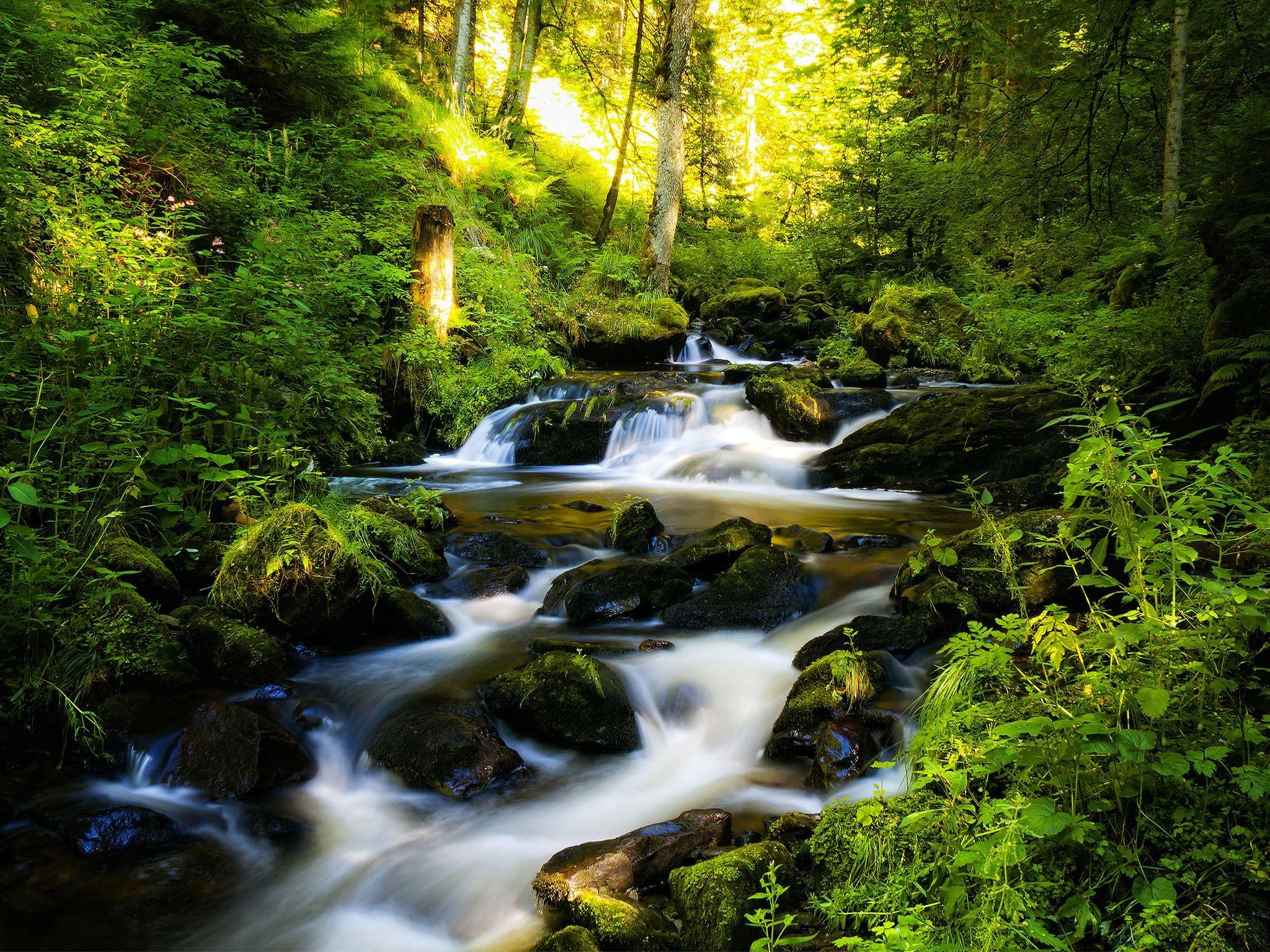 2048x1536 Wallpaper Nature River