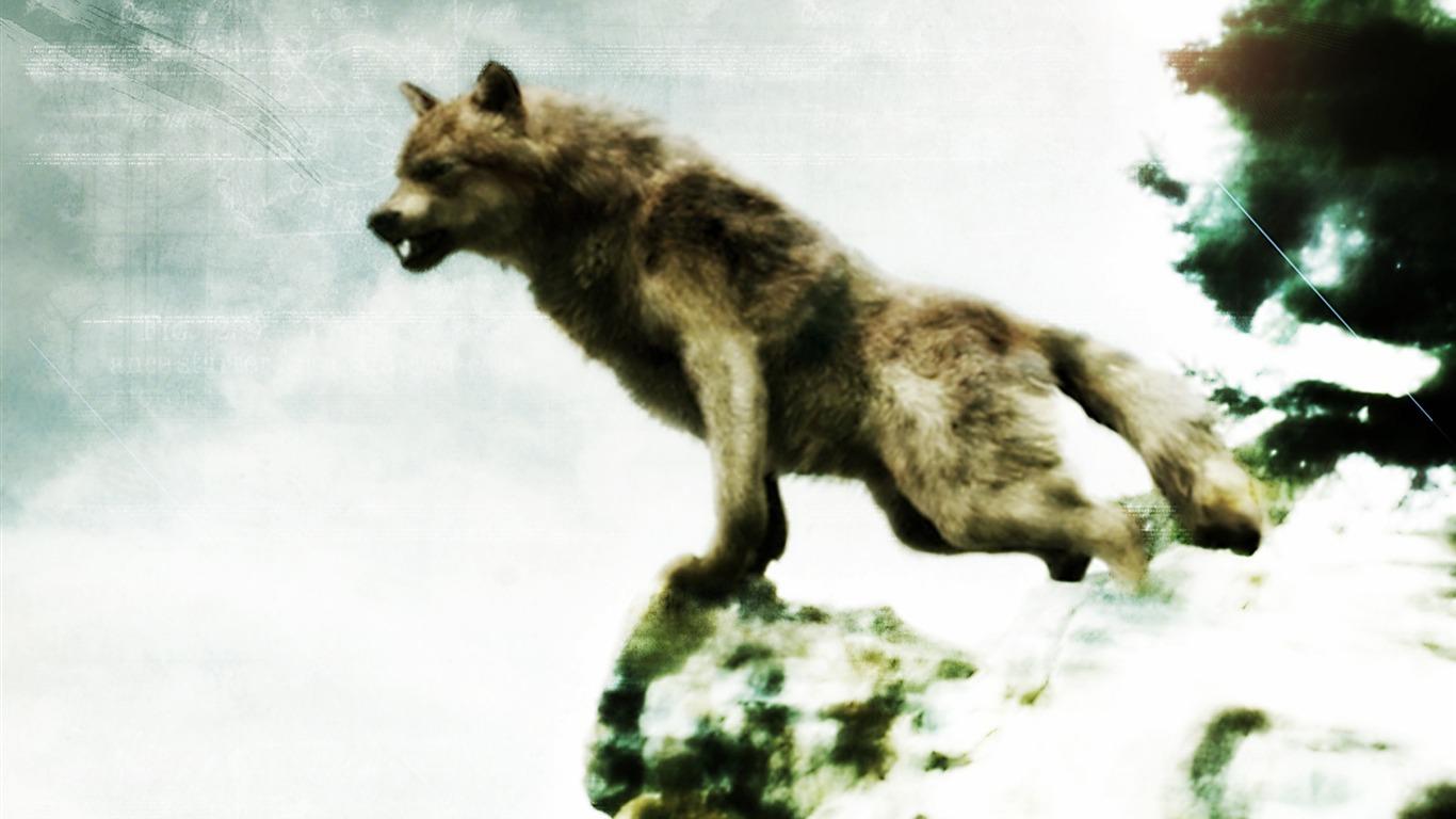 1366x768 Jacob Black Werewolf Form The Twilight Saga Series HD Movie Wallpaper