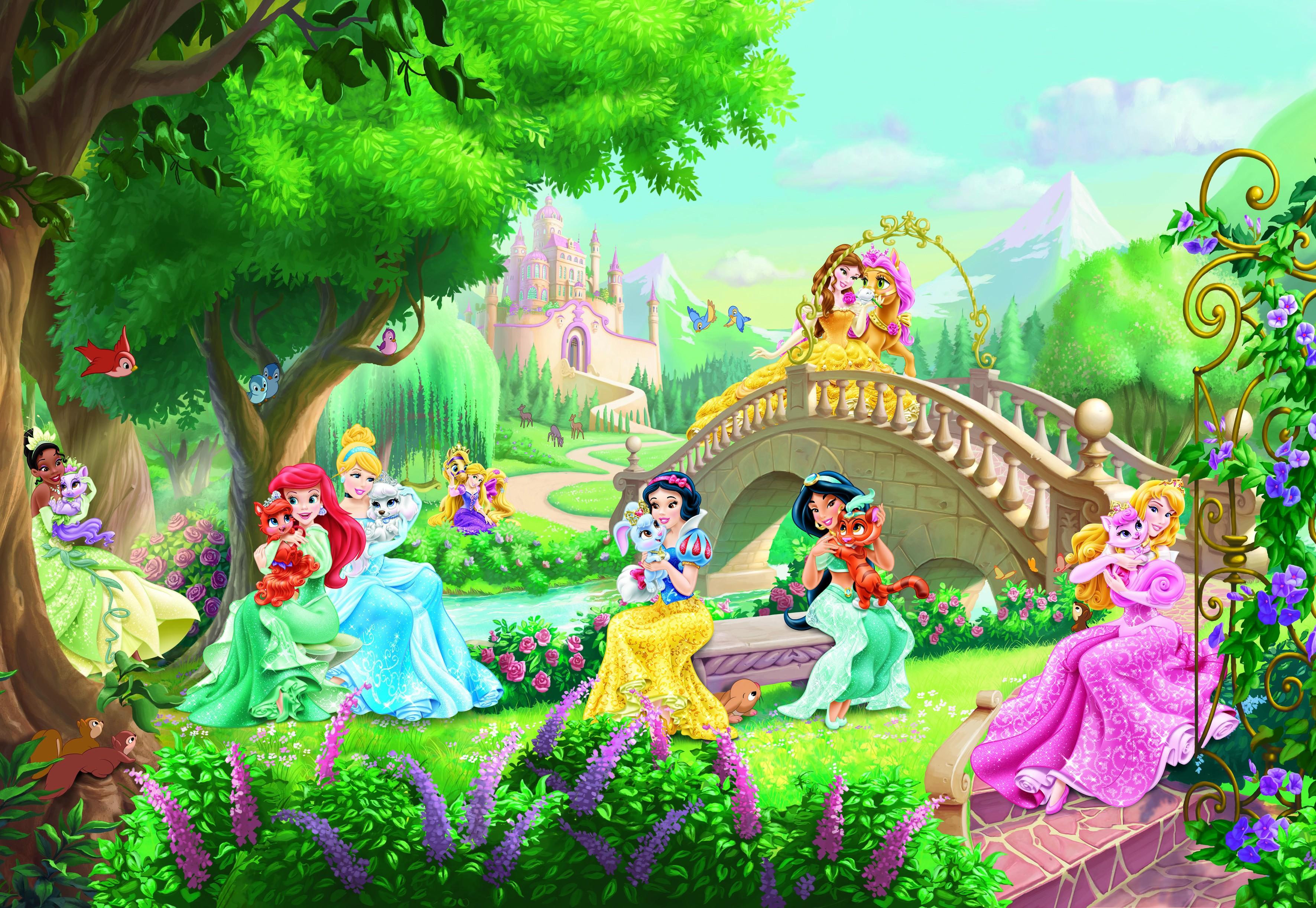 3543x2445 Disney Princess Wallpaper Murals Wallpaperafari Avec Princess Palace Pets