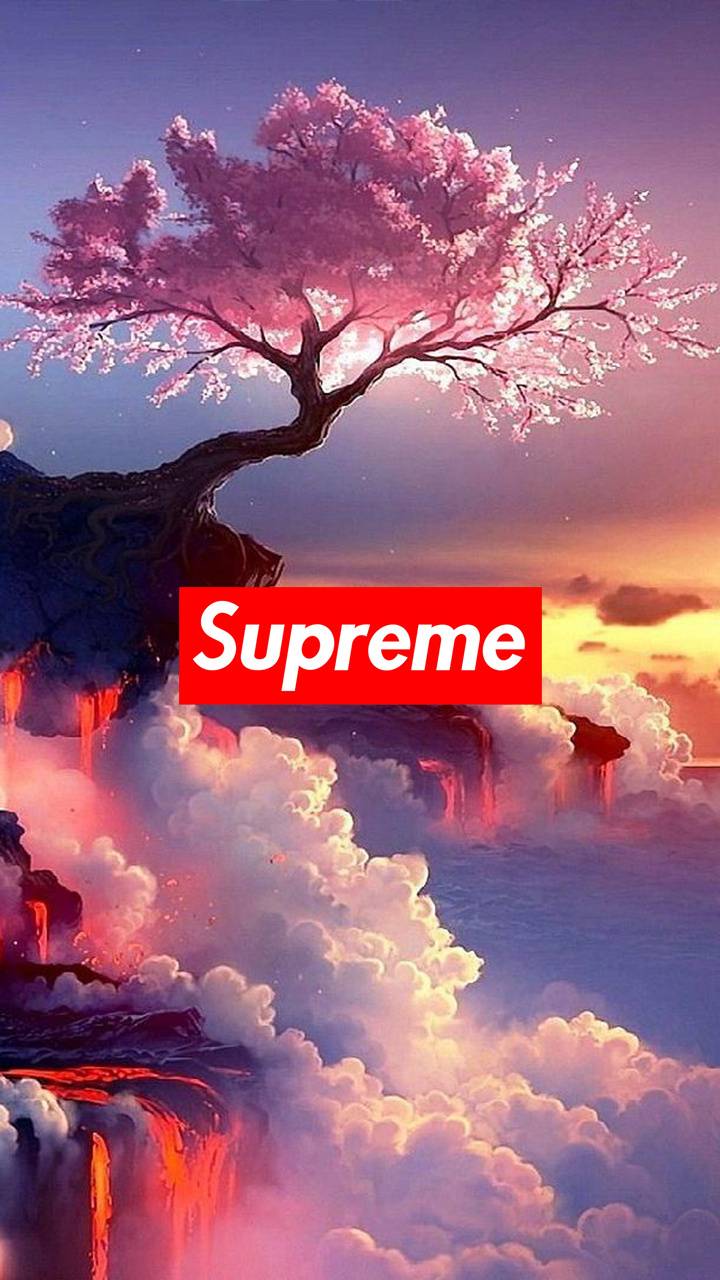720x1280 Supreme Wallpaper