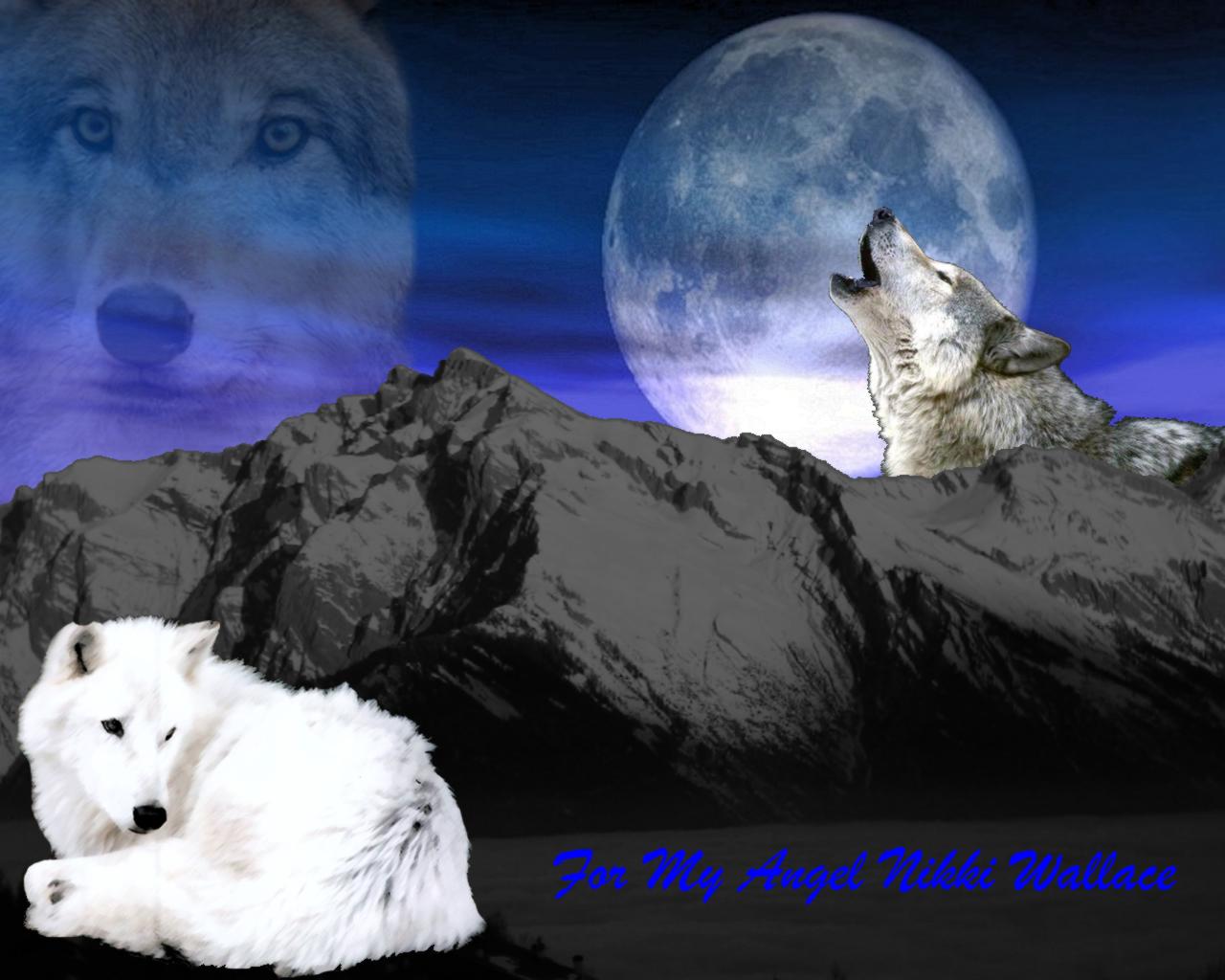 1280x1024 Wolf Wallpaper Desktop