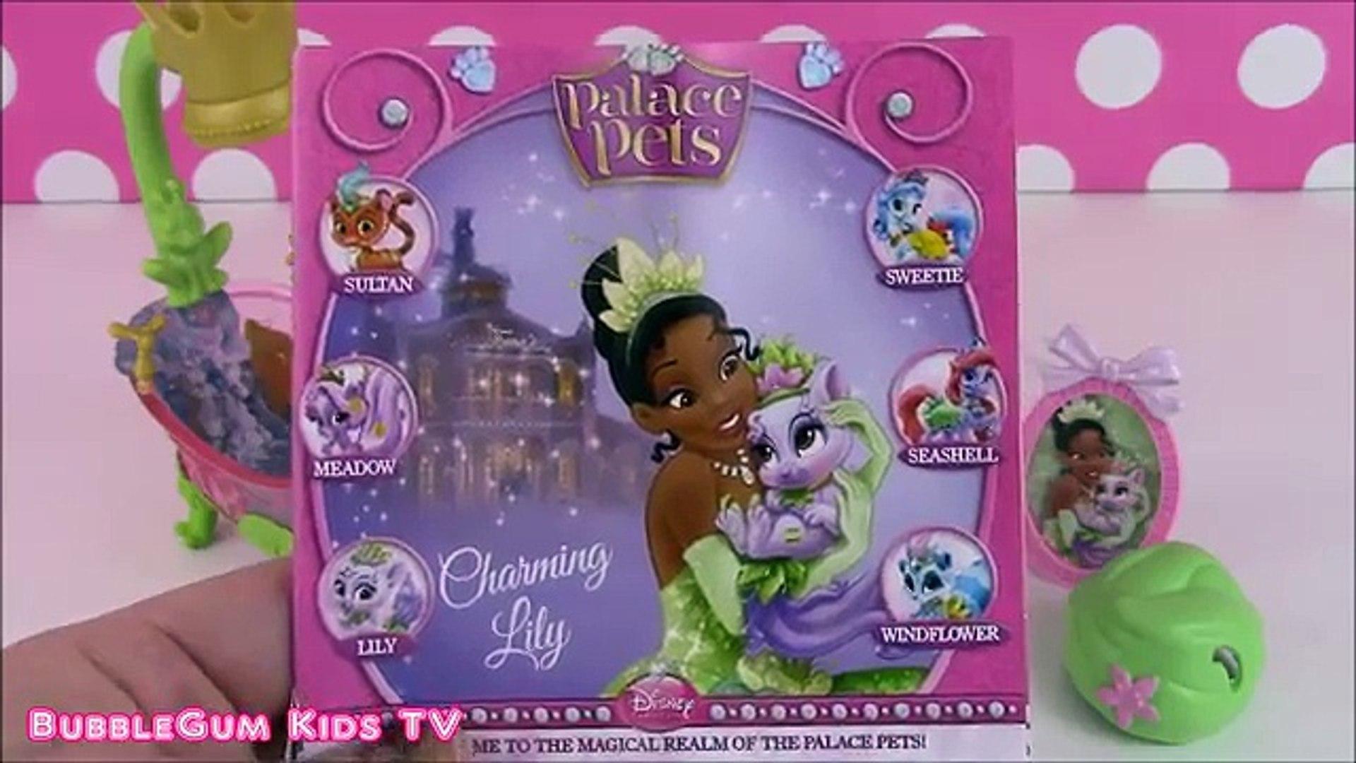 1920x1080 Disney Princess Palace Pets and Bliss Playset Kitty Lily! COLOR CHANGER!! - 動画 Dailymotion