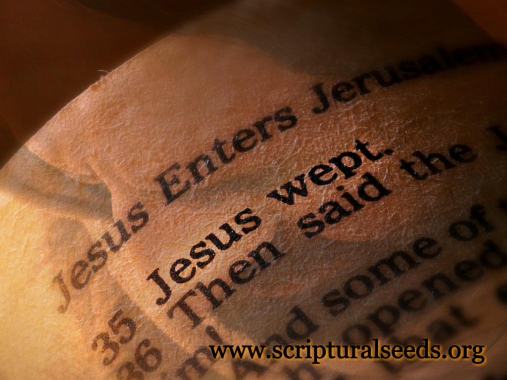 Jesus Wept Wallpapers - Top Free Jesus Wept Backgrounds - WallpaperAccess