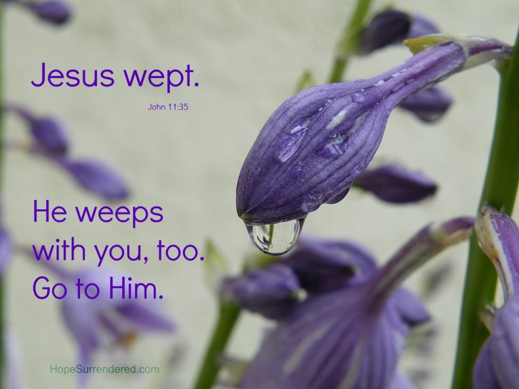 Jesus Wept Wallpapers - Top Free Jesus Wept Backgrounds - WallpaperAccess