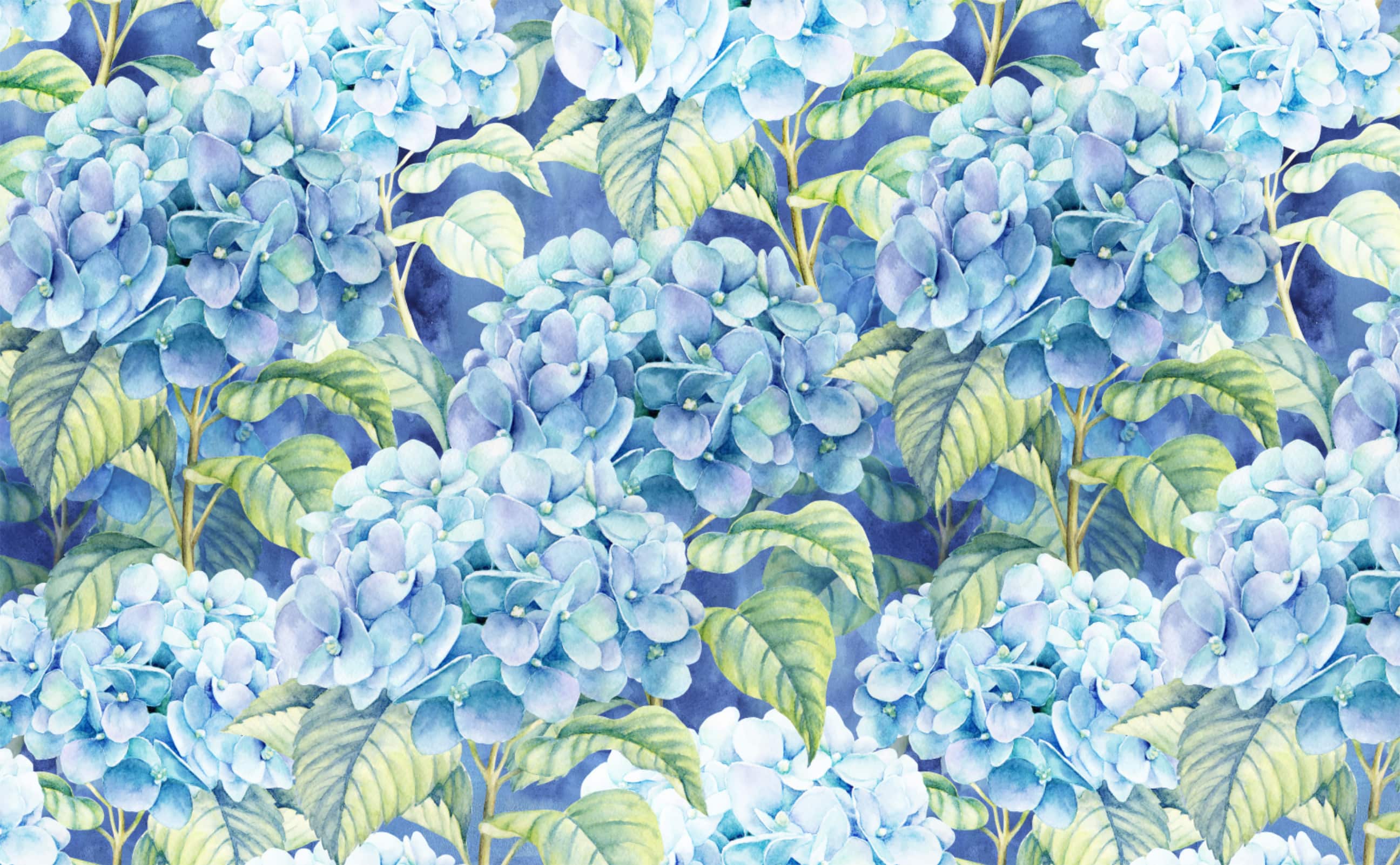 2592x1602 Black white hydrangea flowers and leaves illustrated Wallpaper for Walls