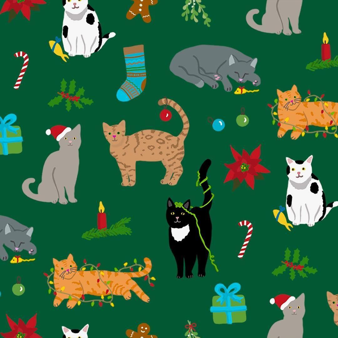 Meowy Christmas Wallpapers - Top Free Meowy Christmas Backgrounds