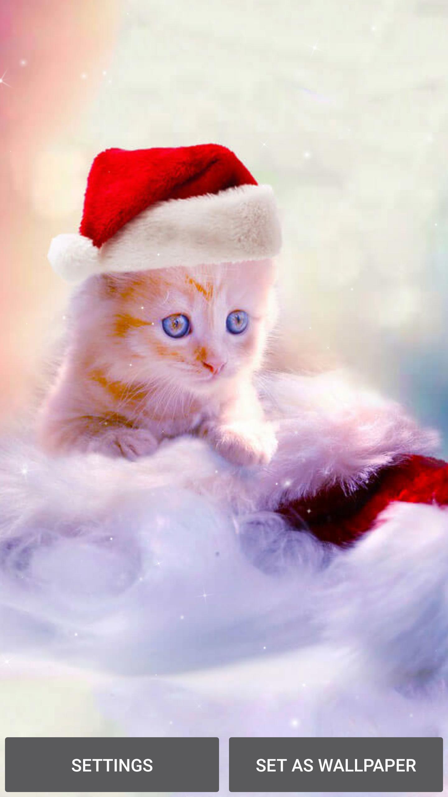 1440x2560 Christmas Cat Wallpaper for Android