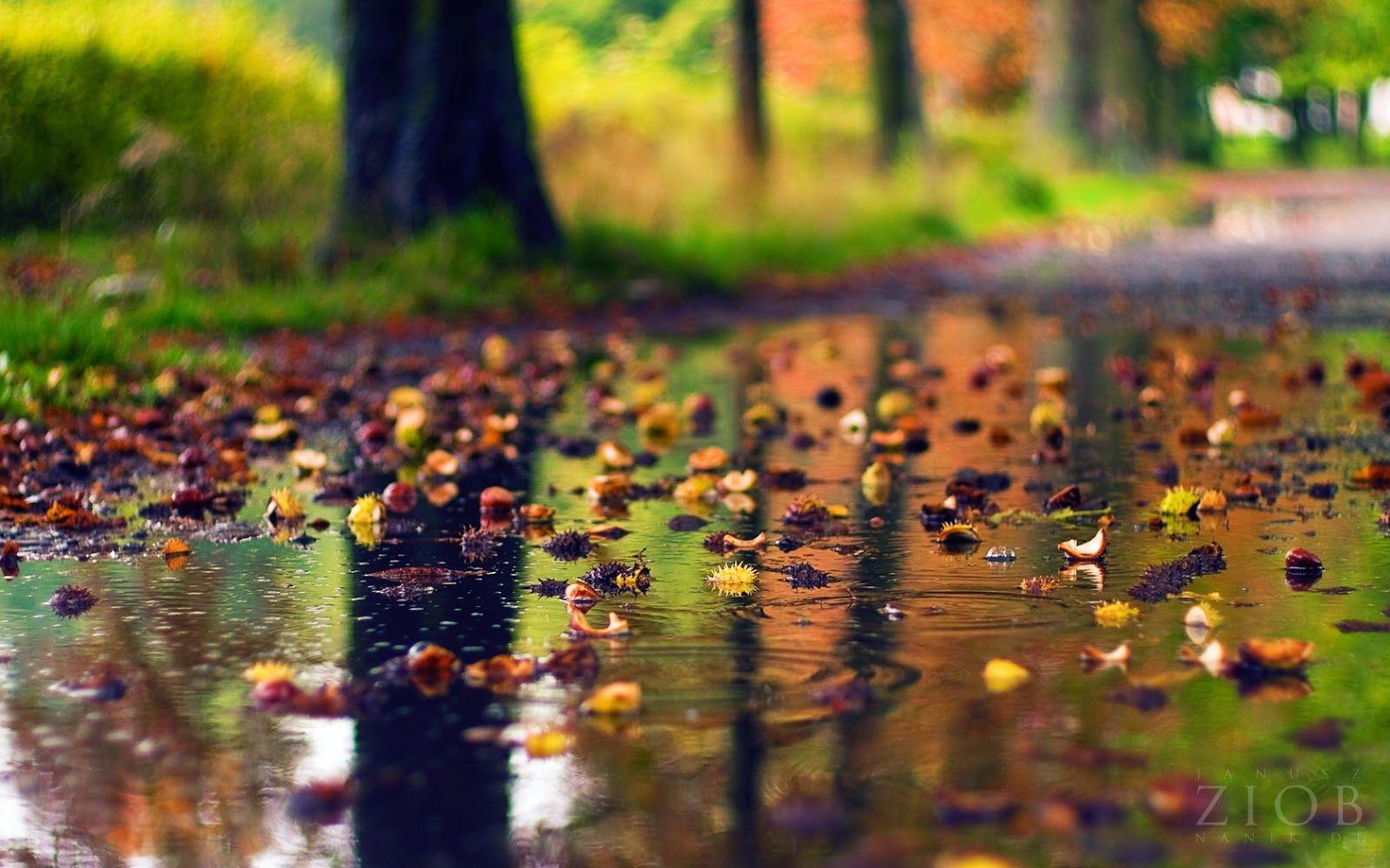 1600x1000 Rainy Wallpaper. Romantic Rainy Day