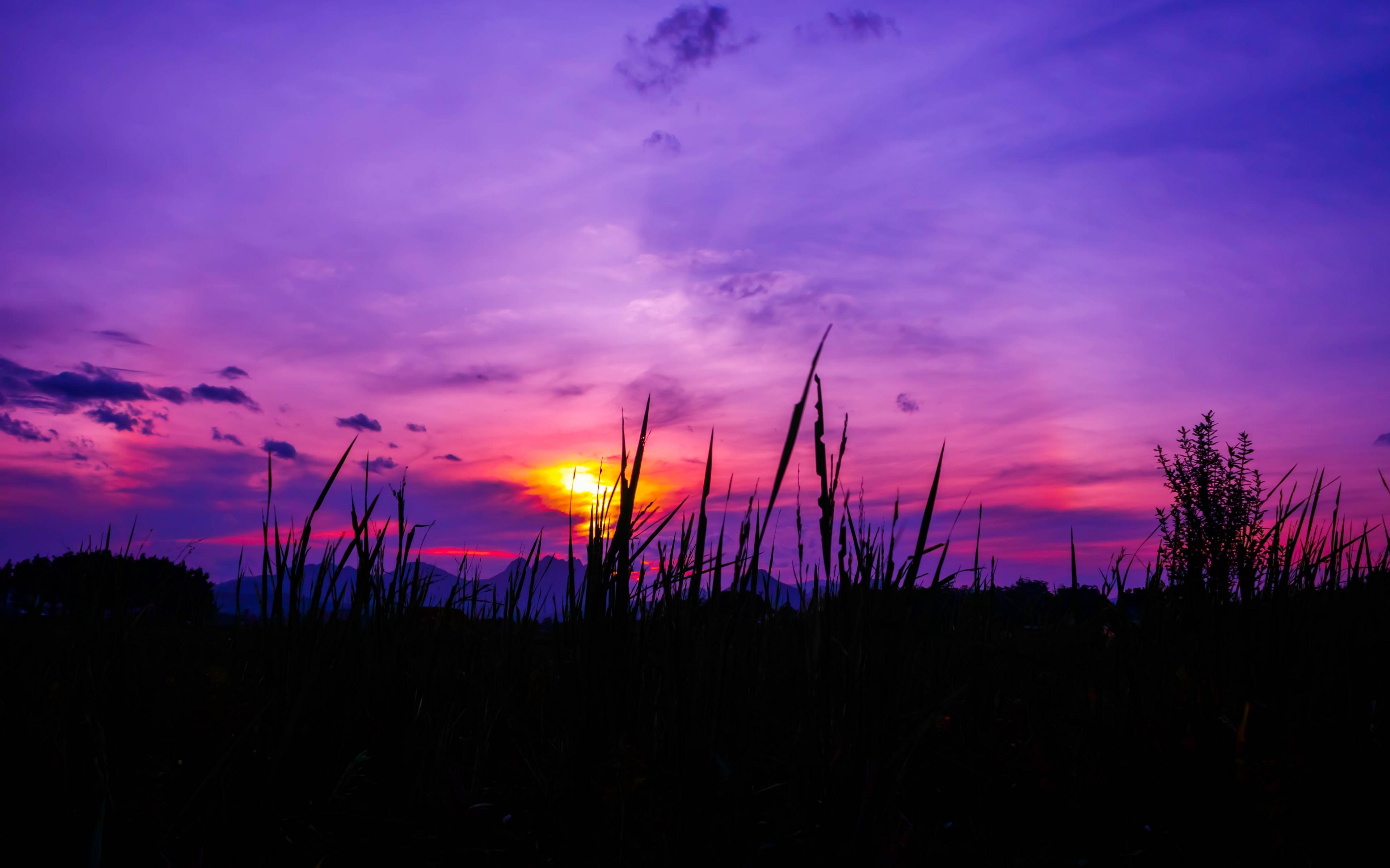 3840x2400 Wallpaper Twilight, Grass, Sky Hour Photography