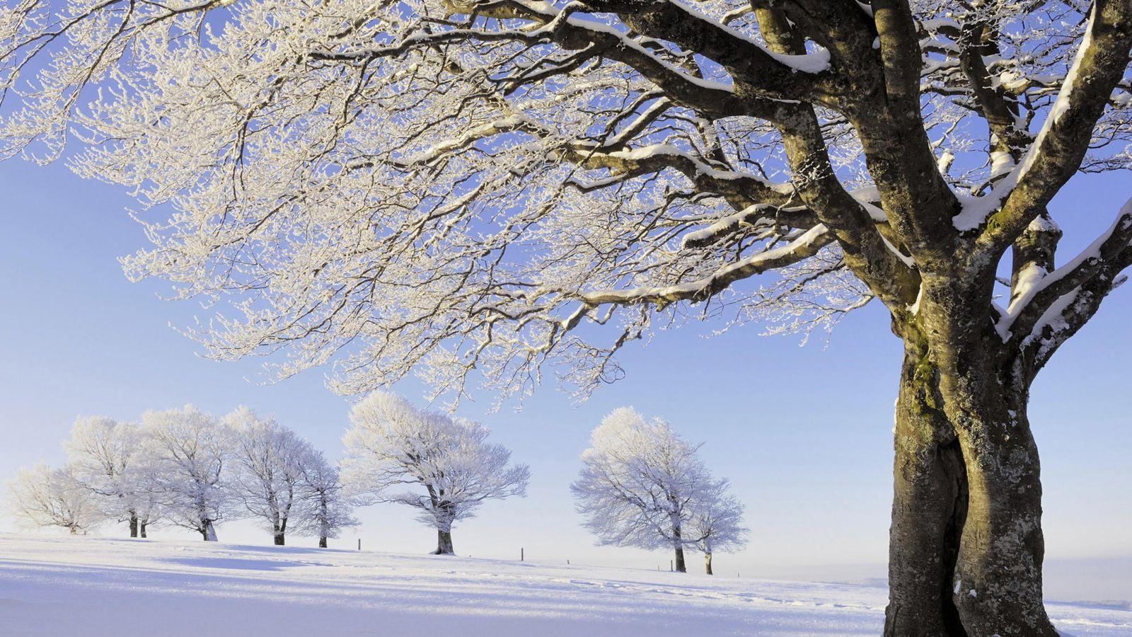 27++ Nature Aesthetic Winter Desktop Wallpaper - Basty ...