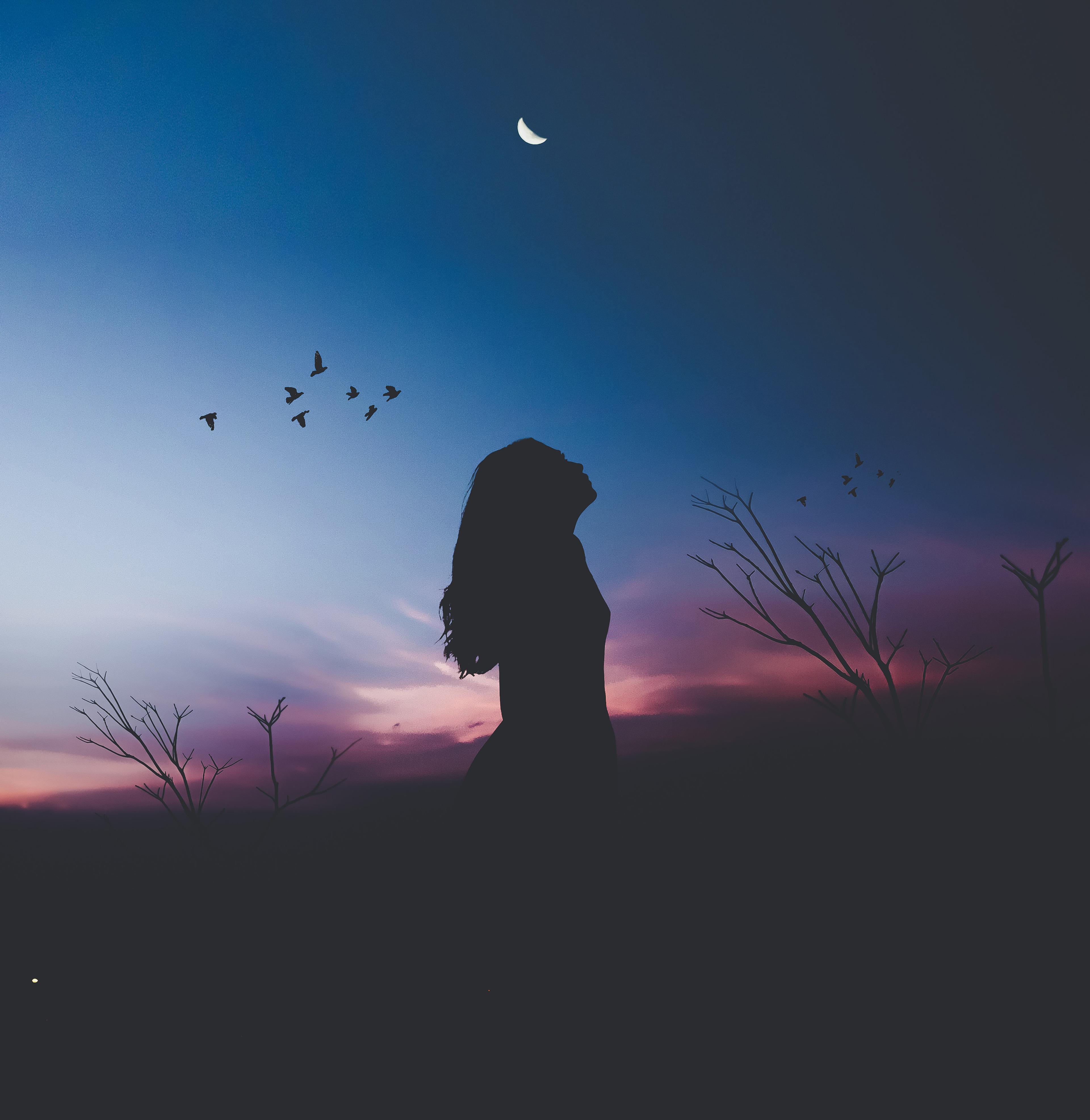 3840x3946 Girl Wallpaper 4K, Silhouette, Twilight, Sunset, Dusk, Evening sky, Nature