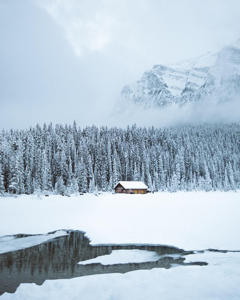1000x1250 Winter Wood Picture. Download Free Image