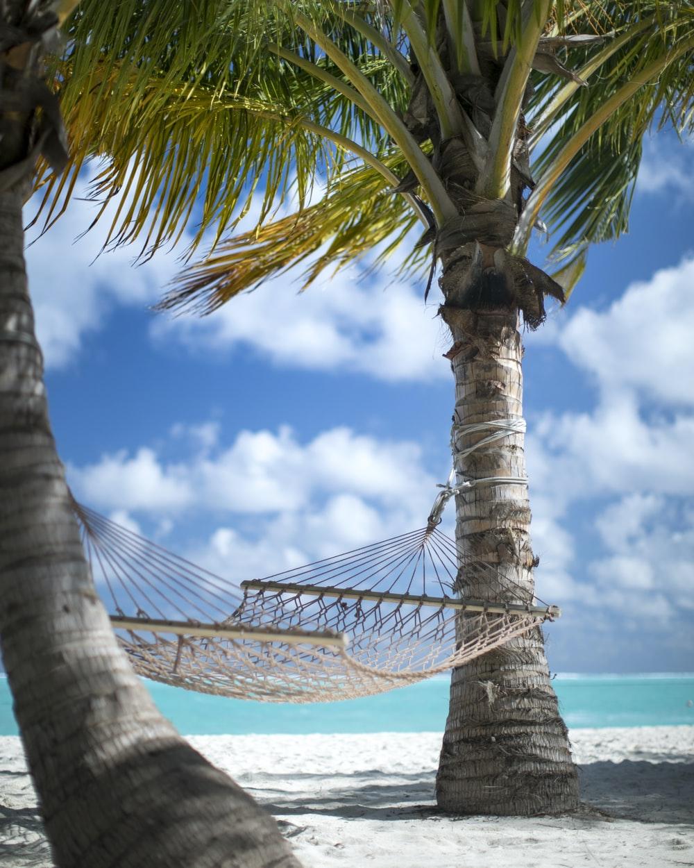 1000x1250 Vacation Image [HD]. Download Free Image