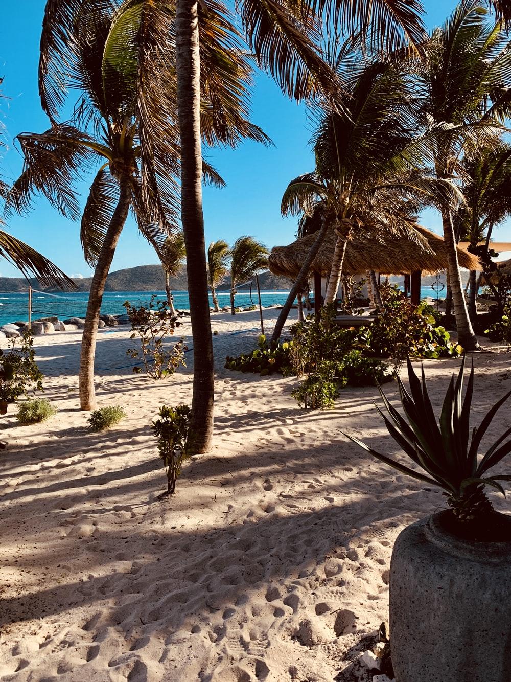 1000x1334 Private Island Picture. Download Free Image