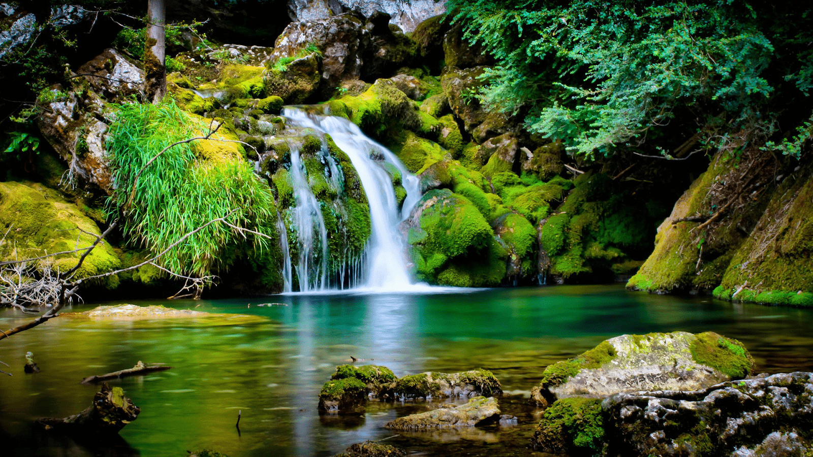 1600x900 Spring Desktop Background HD
